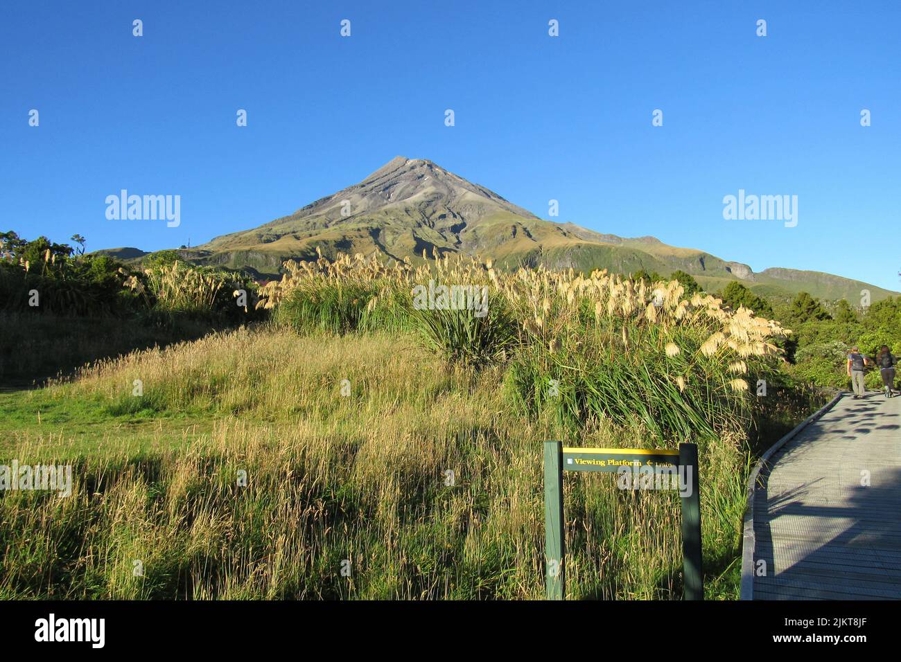 Blick auf den Hügel im Egmont National Park, Neuseeland Stockfoto