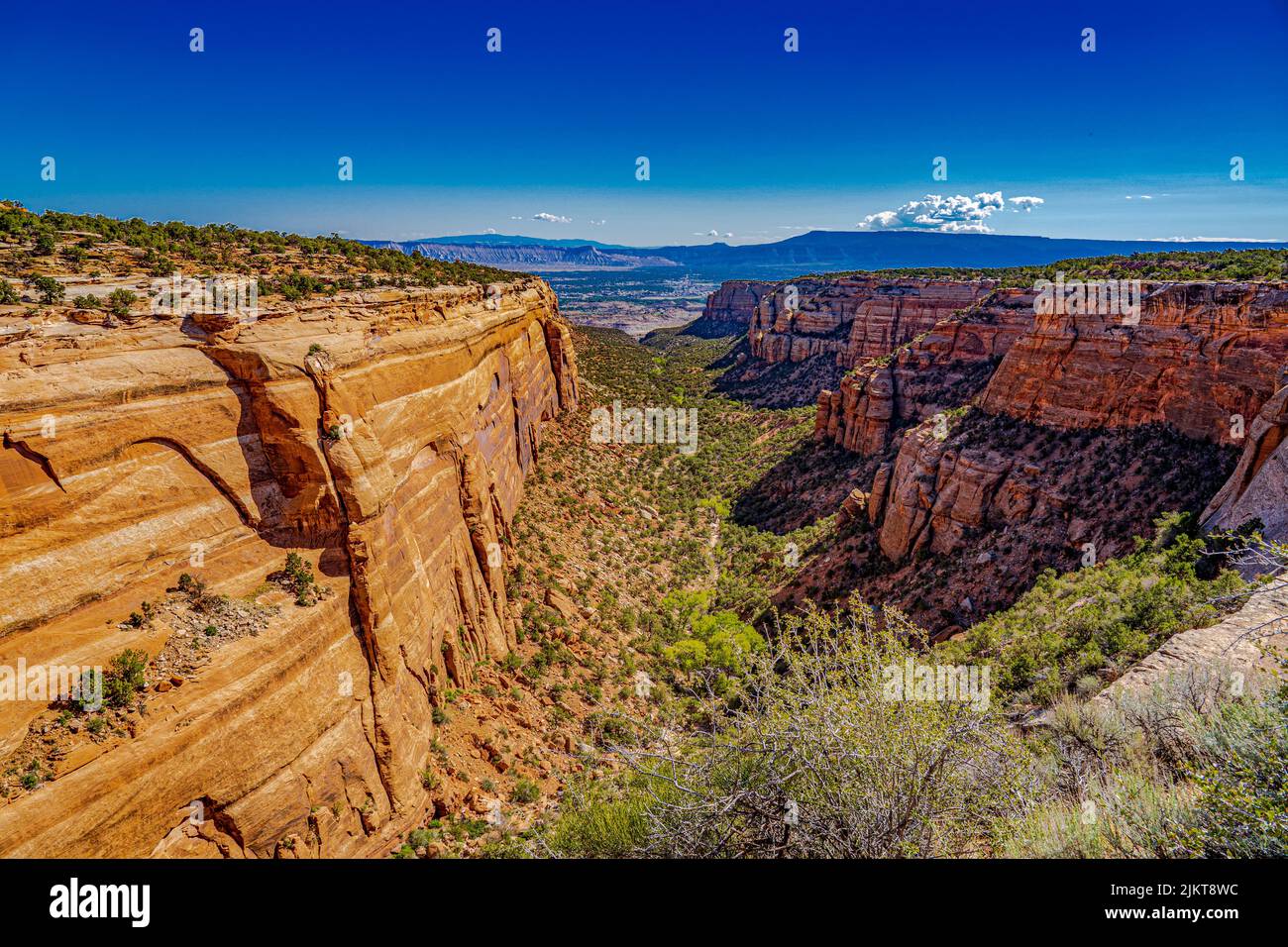 Eine Luftaufnahme der braunen Sandsteinklippen und Schluchten im Colorado National Monument Stockfoto