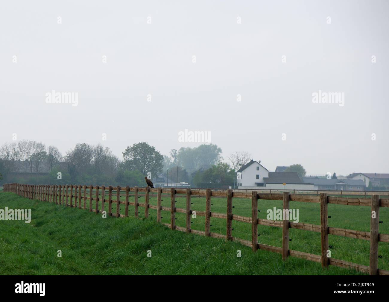 Eine perspektivische Aufnahme eines Vogels, der auf einem Holzzaun in der Mitte eines Feldes im Hintergrund von Bäumen und Landhäusern sitzt. Stockfoto