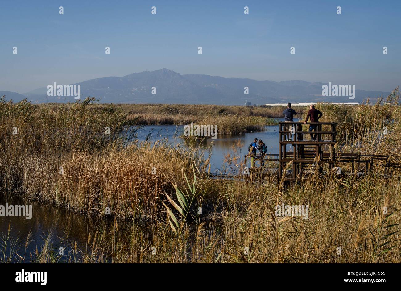 Bild einer wunderschönen Landschaft eines Reisfeldes, wo Ornithologen Vögel mit Fernglas in La Marjal dels Moros in Valencia, Spanien, beobachten Stockfoto