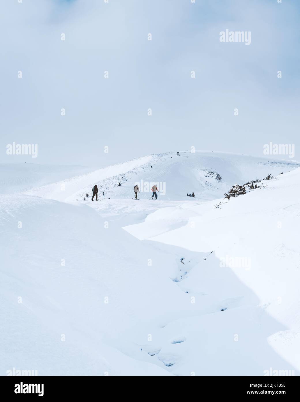 Eine Gruppe von Menschen, die in den schneebedeckten Bergen wandern Stockfoto