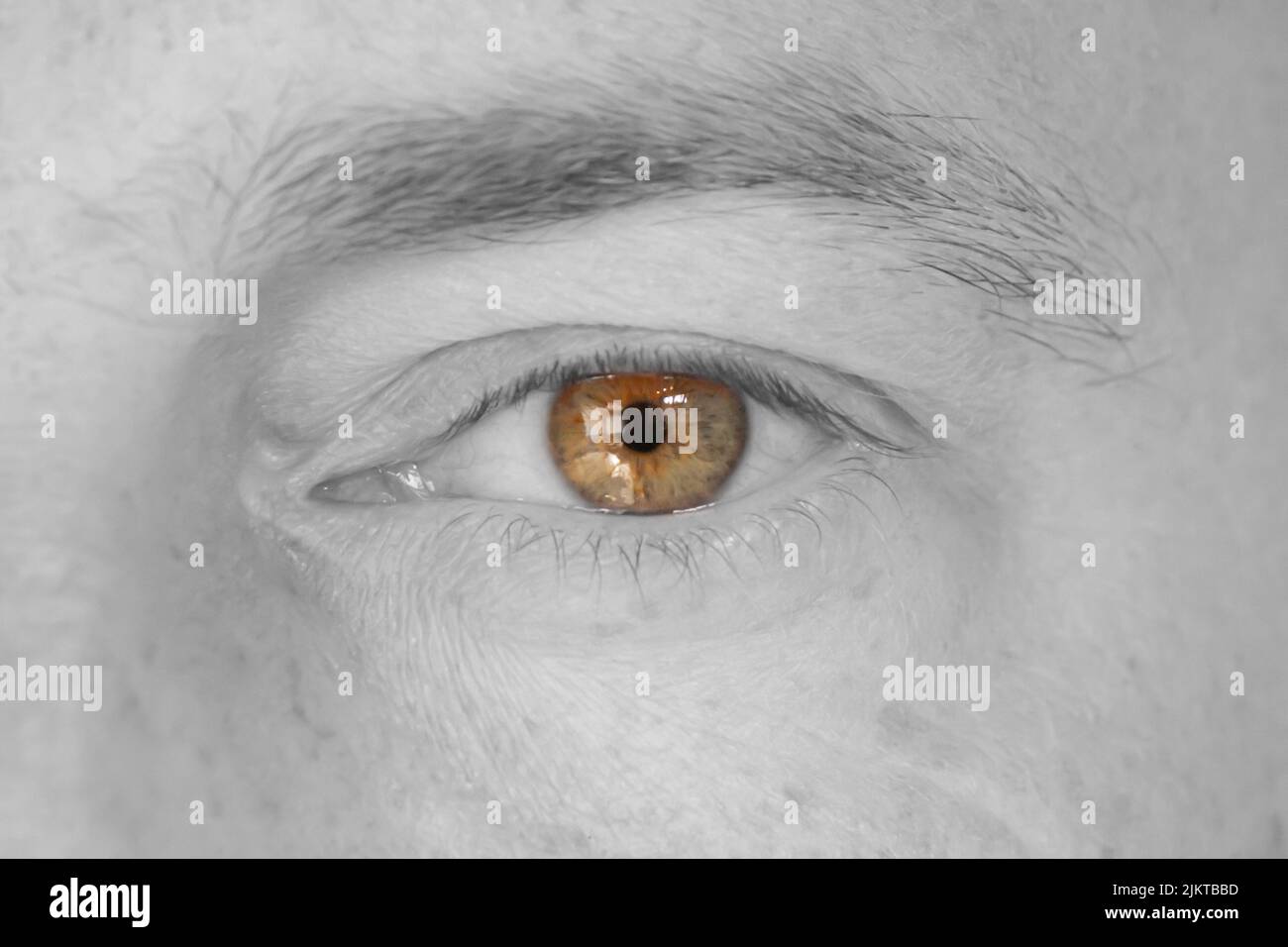 Das braune einzigartige Auge des Mannes selektive Farbaufnahme Stockfoto