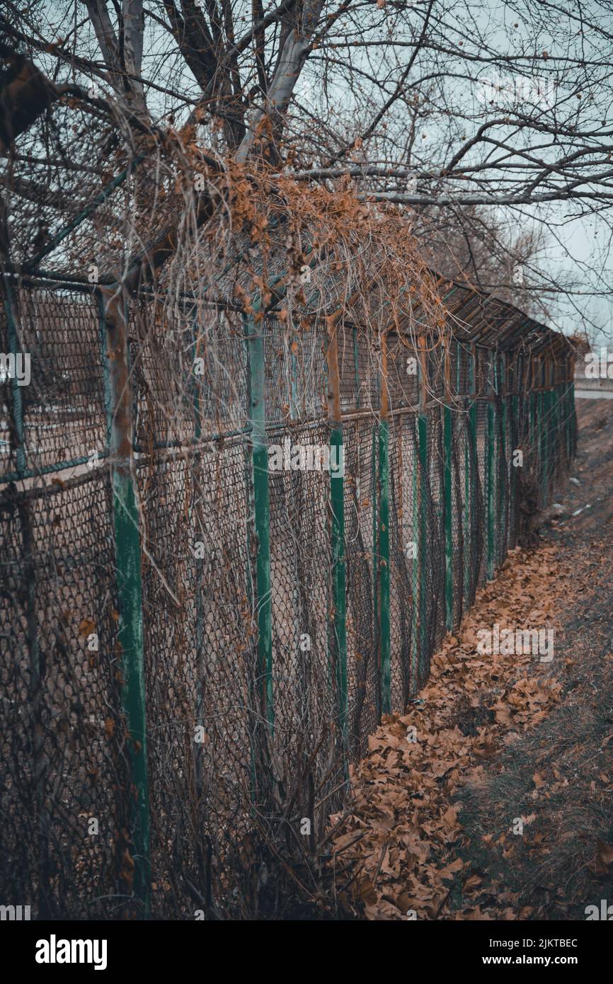 Eine Seitenaufnahme eines langen Metallzauns mit Netzmuster mit Gras und herbstlichen Blättern mit blauem Himmel Stockfoto