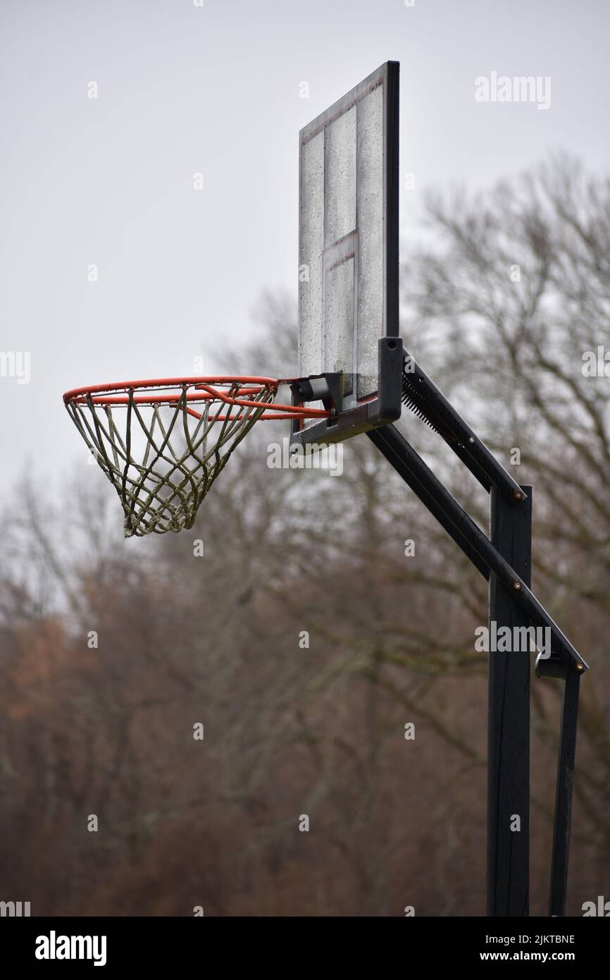 Eine Nahaufnahme eines Basketballkorps auf einem unscharfen Hintergrund von Bäumen Stockfoto