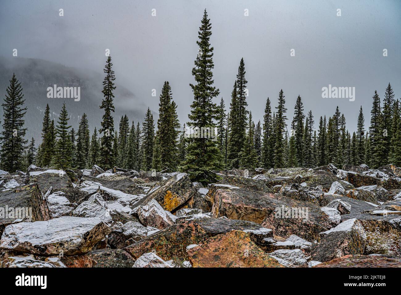 Die Felsen und Kiefern gegen den bewölkten Himmel. Kanadische Natur. Stockfoto