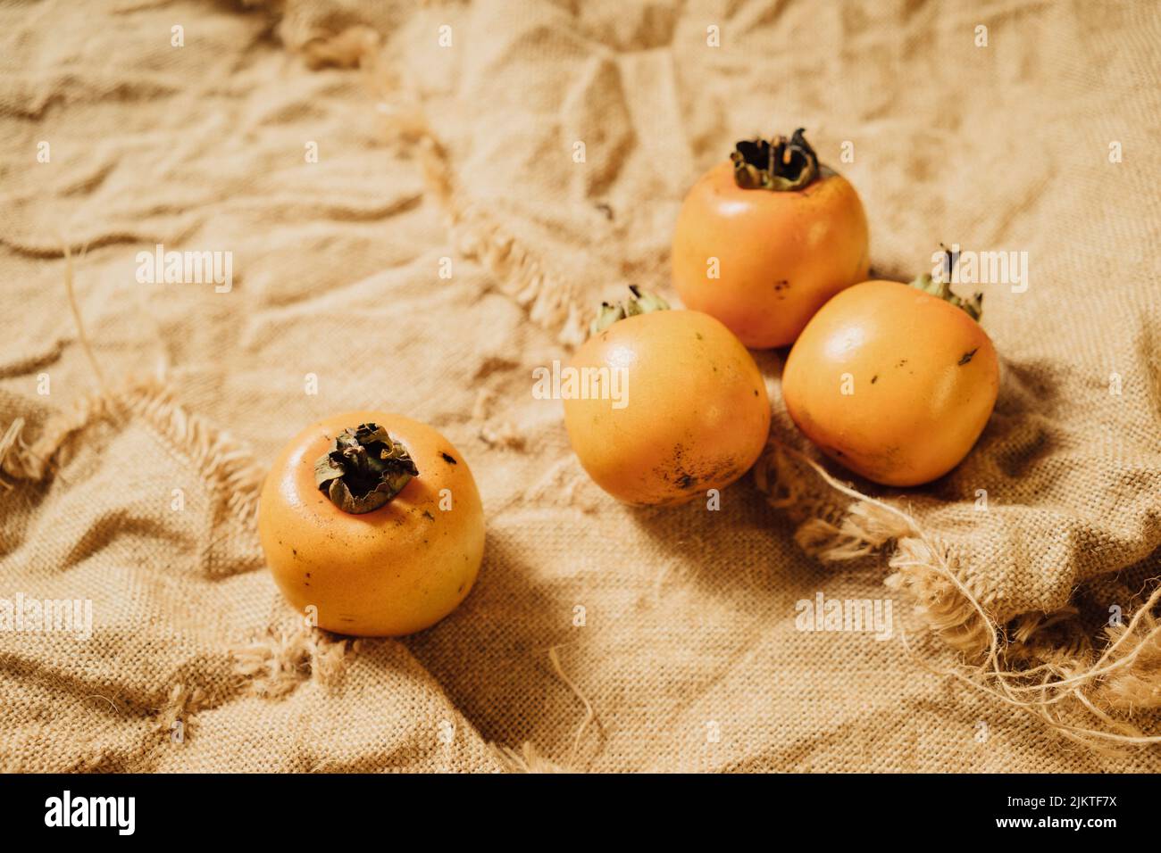 Tomato trees Fotos und Bildmaterial in hoher Auflösung Alamy