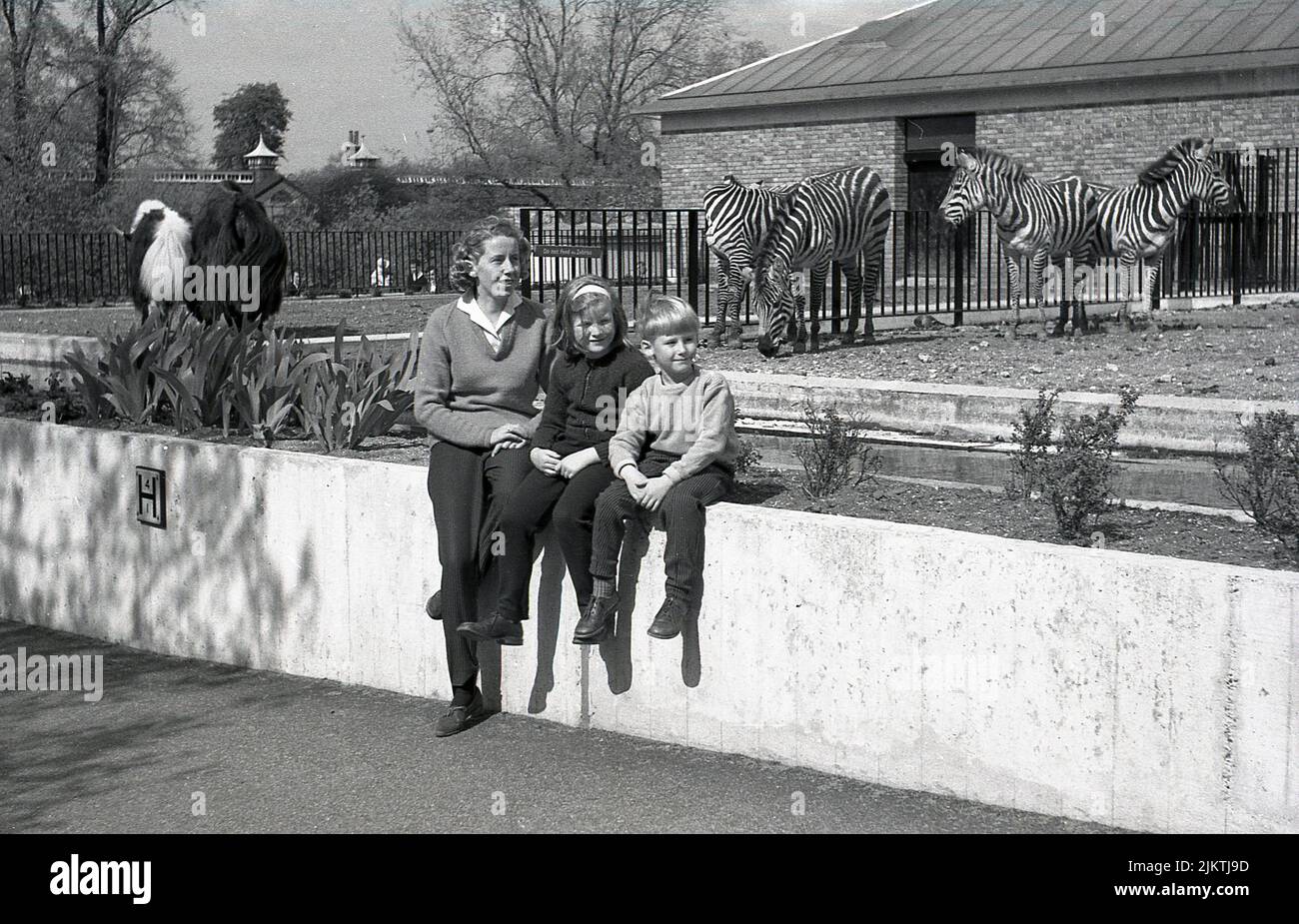 1960, eine historische Mutter mit ihren zwei kleinen Kindern, die auf einer Mauer in der Nähe des Zebra-Geheges im London Zoo, England, Großbritannien, sitzt. Hinter ihnen, ein Schild auf Geländer sagt, nicht füttern die Zebras. Stockfoto