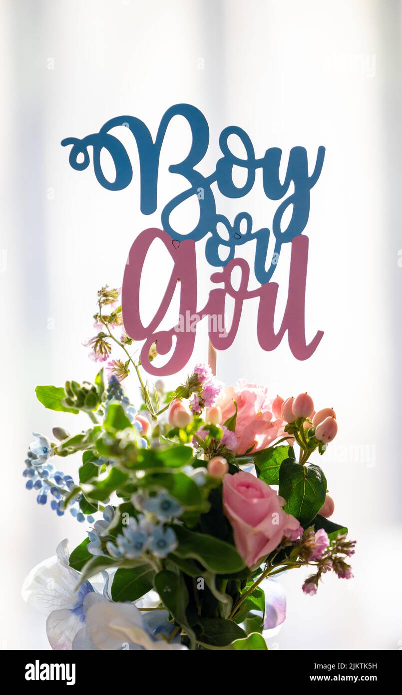 Eine vertikale Aufnahme eines „Jungen oder Mädchens“-Schildes auf Blumen auf einer Geschlechterparty Stockfoto