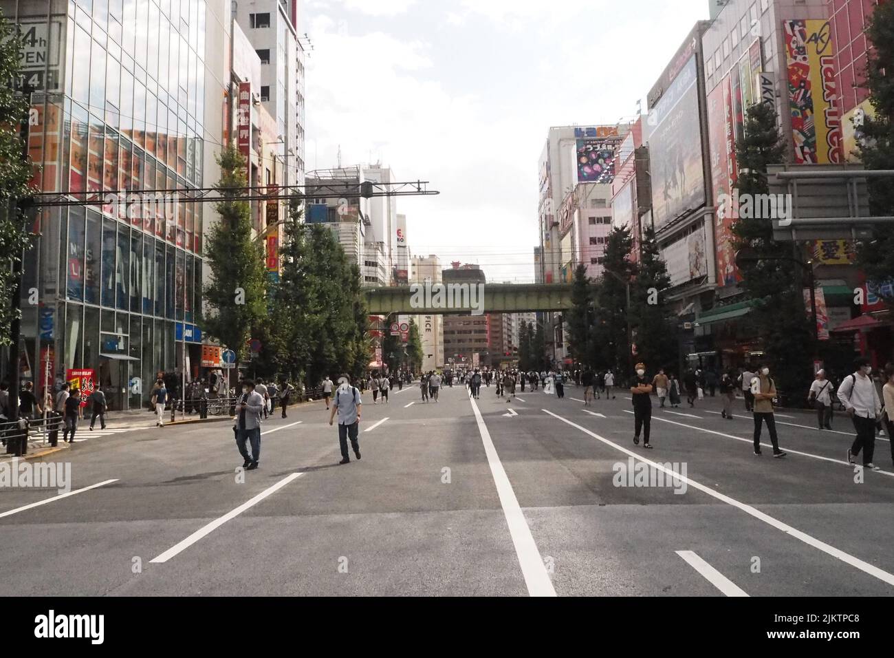 Eine wunderschöne Aufnahme von Menschen, die auf einer autofreien Straße in Akihabara, Tokio, spazieren gehen Stockfoto