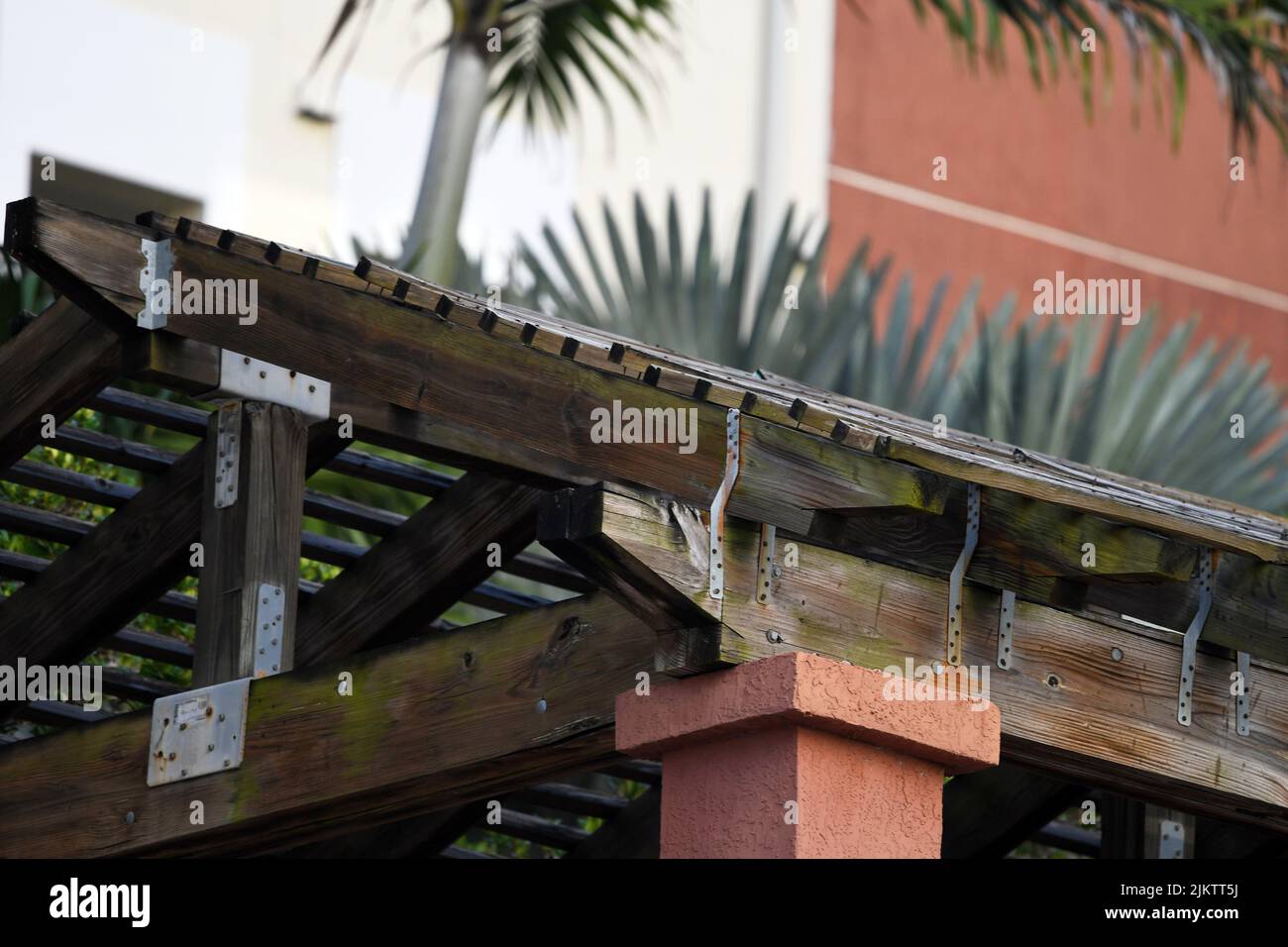 Eine Aufnahme eines Holzdachs in einem tropischen Gebiet mit einem Hintergrund aus Palmen Stockfoto