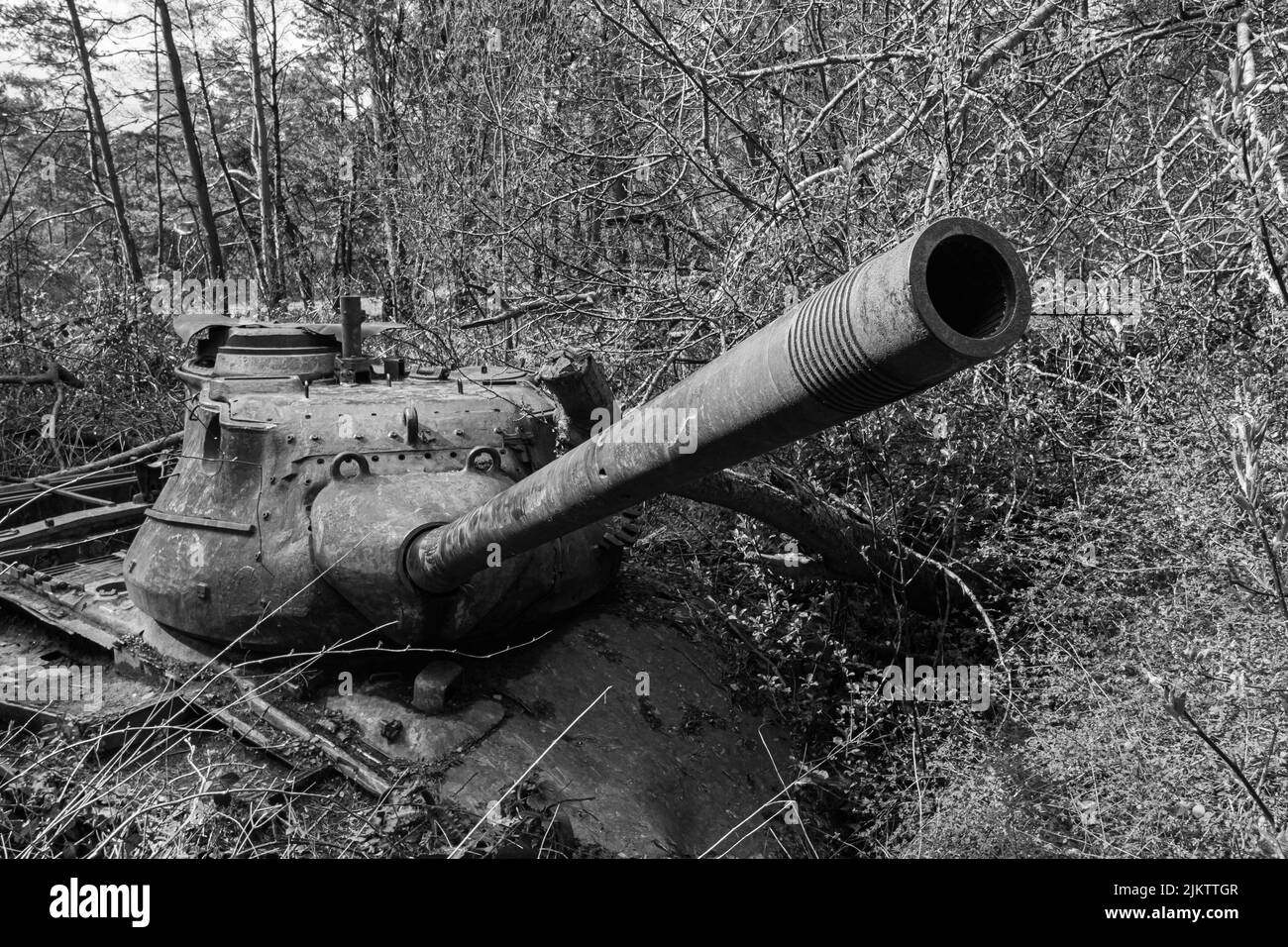 Eine schwarz-weiße Aufnahme eines verlassenen Militärpanzers im Wald Stockfoto