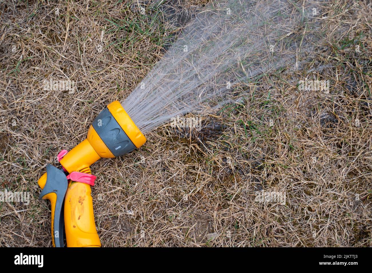 Slough, berkshire, Großbritannien. 3.. August 2022. Ein Garten in Slough mit Vogelbädern sowie Trinkstationen mit Steinen für Bienen und Wespen. South East Water hat heute ein weiteres Schlauchleitungsverbot für Kent und Sussex bekannt gegeben, das ab dem 12.. August gilt. Quelle: Maureen McLean/Alamy Live News Stockfoto