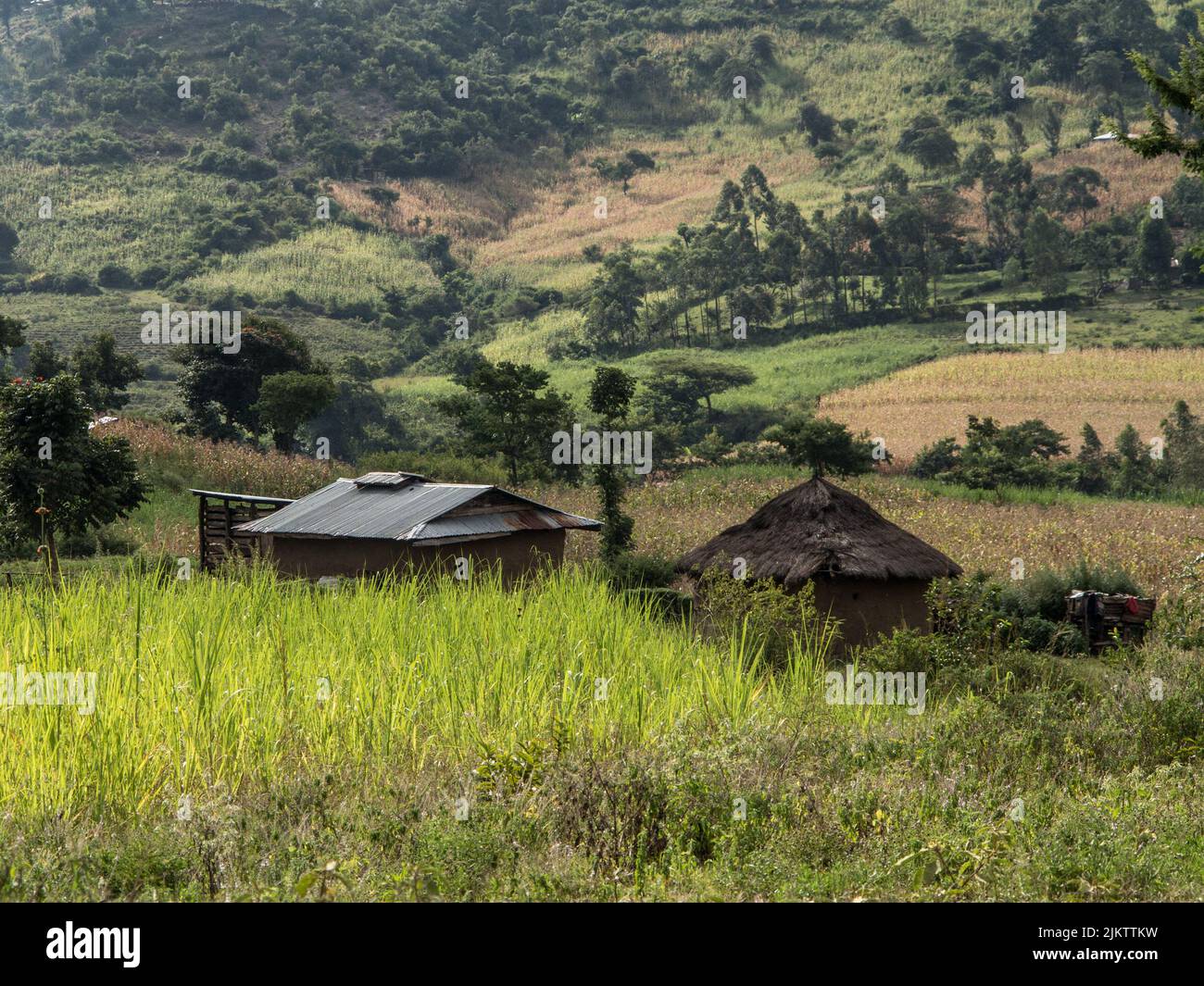 Eine schöne Aufnahme ein altes grungiges Haus auf einem bergigen Feld mit grünen Bäumen Stockfoto Eine schöne Aufnahme ein altes grungiges Haus auf einem bergigen Feld mit grünen Bäumen Stockfoto