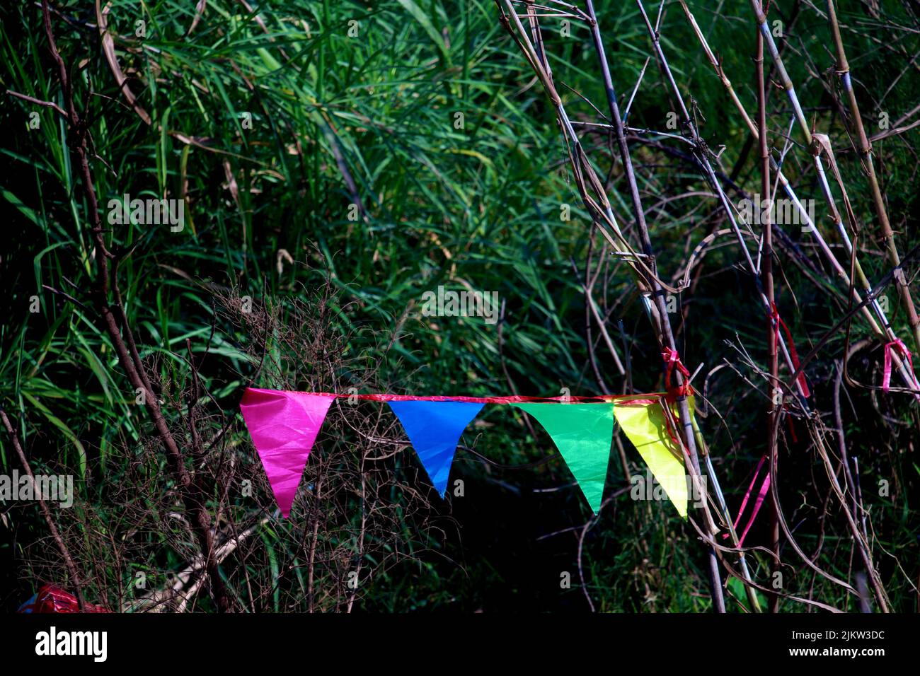 Eine farbenfrohe dreieckige Straßenfahne an einem Seil in einem Park mit Bäumen im Hintergrund Stockfoto