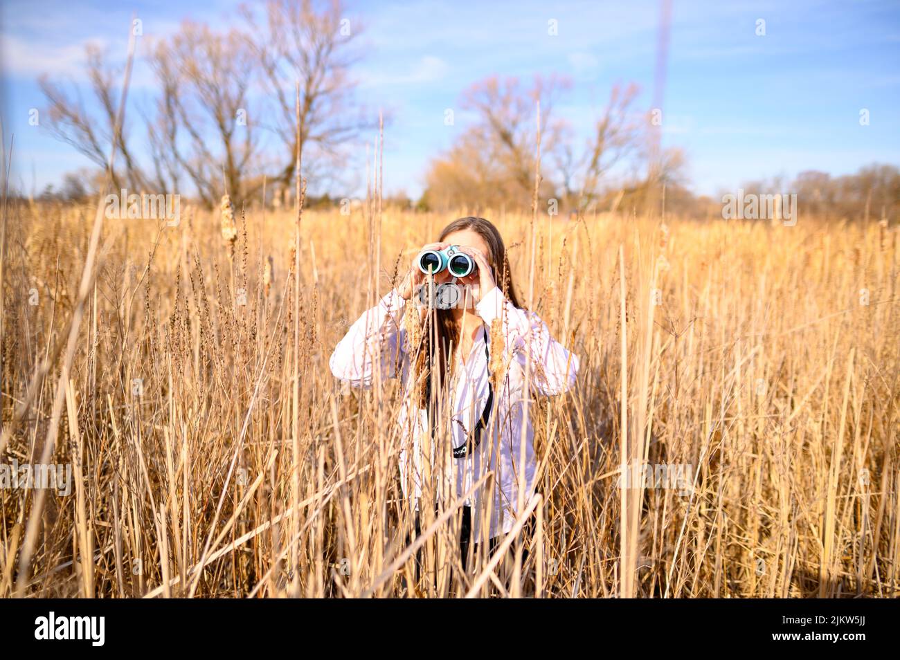 Profil einer Frau, die durch ein blaues Fernglas zur Seite schaut und tagsüber in einem Feld von Katzenschwänzen in einem Sumpfgebiet steht. Stockfoto