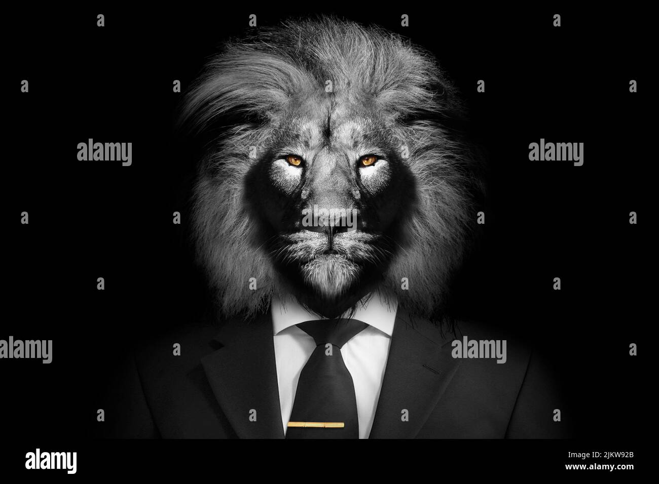 Eine Graustufenaufnahme eines Löwen mit einem edlen Look in einem Anzug Stockfoto