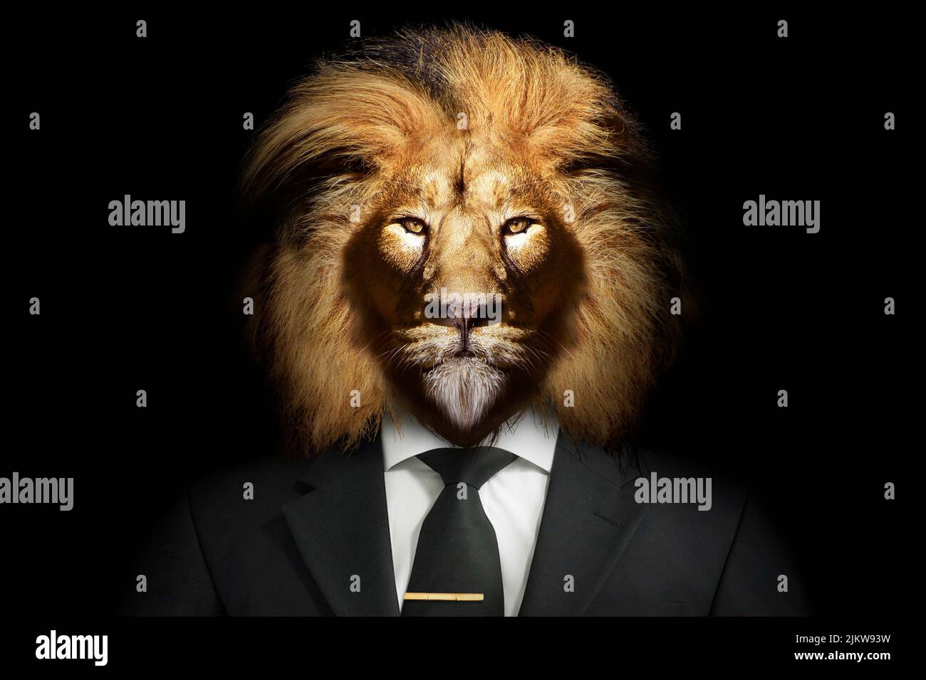 Ein Löwe mit einem edlen Look in einem Anzug Stockfoto