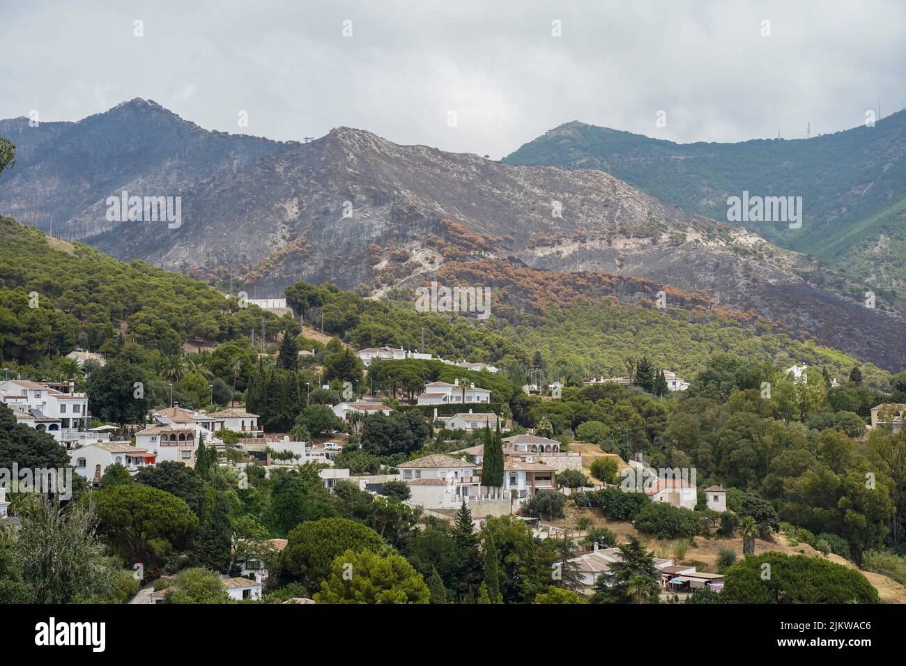 Verkohlte Bergkette der Sierra de Mijas, nach einem Waldbrand, in der Nähe des Stadtgebiets, Andalusien, Spanien. Stockfoto