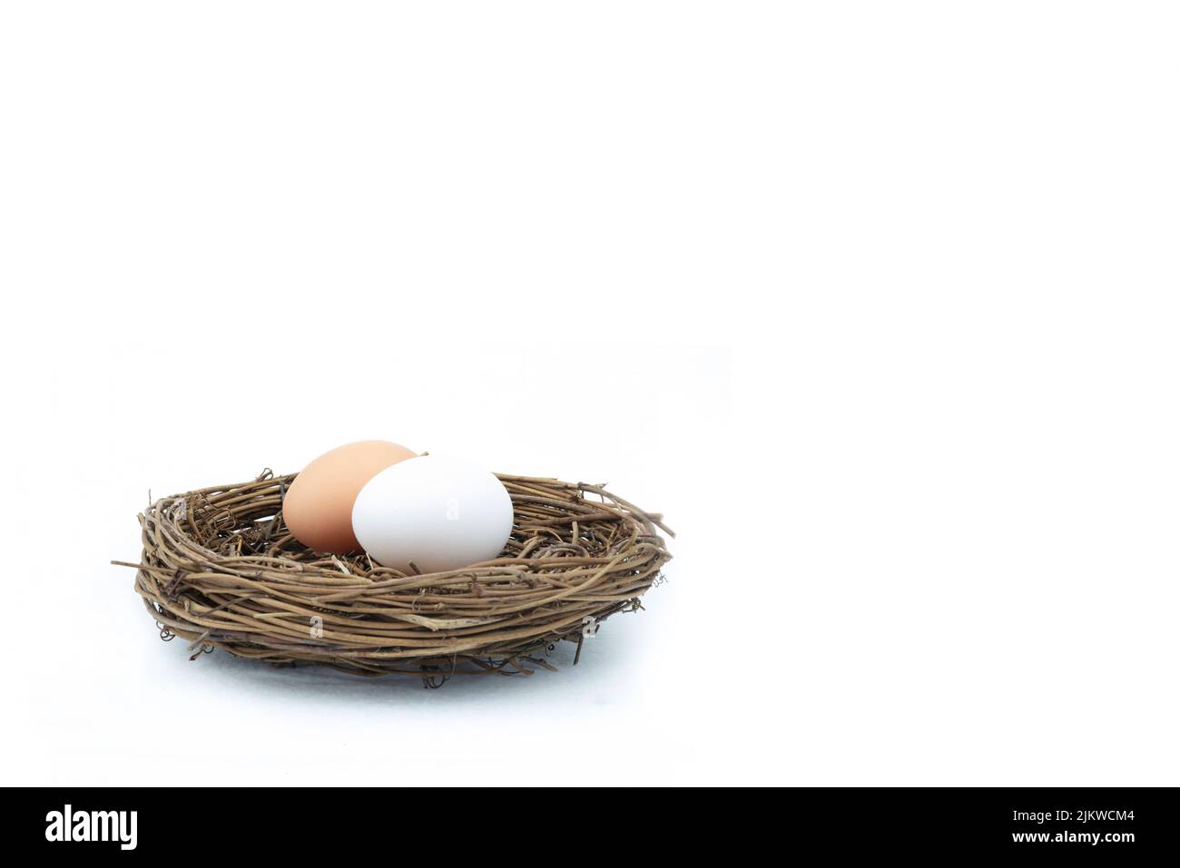 Nahaufnahme eines Nestes mit zwei isolierten Eiern auf weißem Hintergrund mit einem Kopierraum Stockfoto