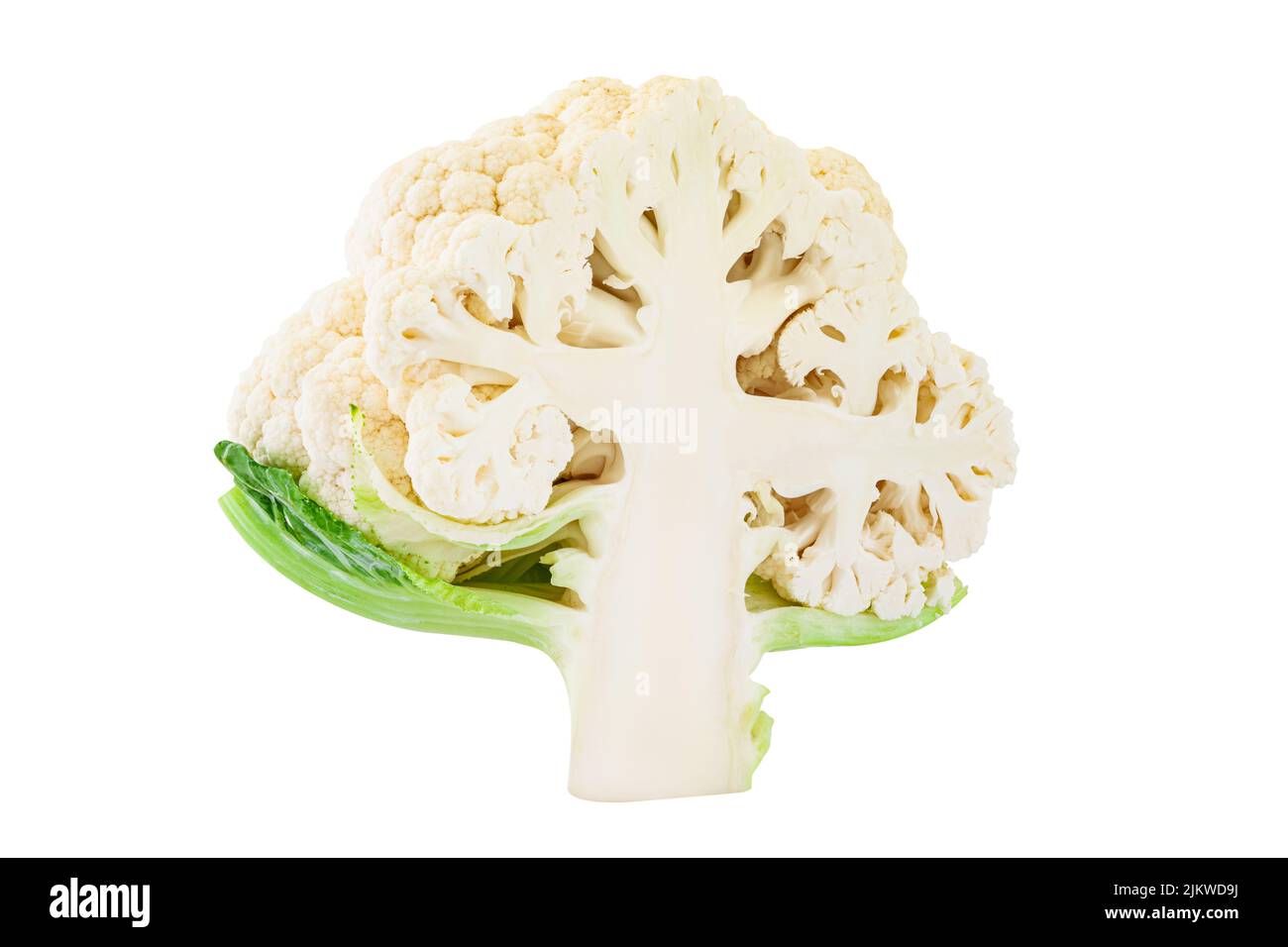 Geschnitten in der Hälfte Blumenkohl Gemüse isoliert auf weißem Hintergrund, Superfoods und eine Diät von Kreuzblütler Gemüse für Gesundheit und Gewicht los Stockfoto