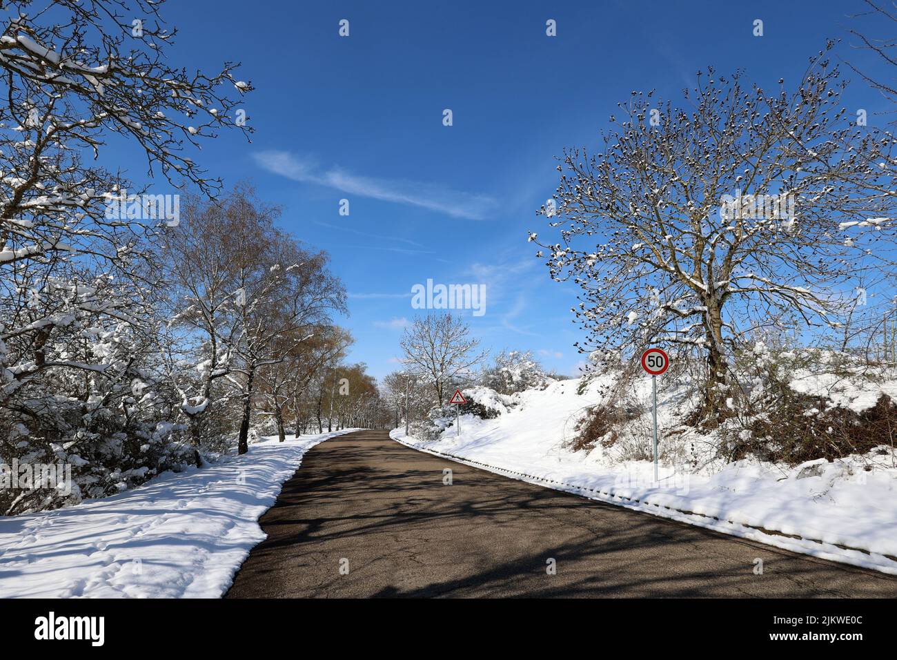 Winter, Winterstraße mit frisch gefallener Schneedecke. Stockfoto