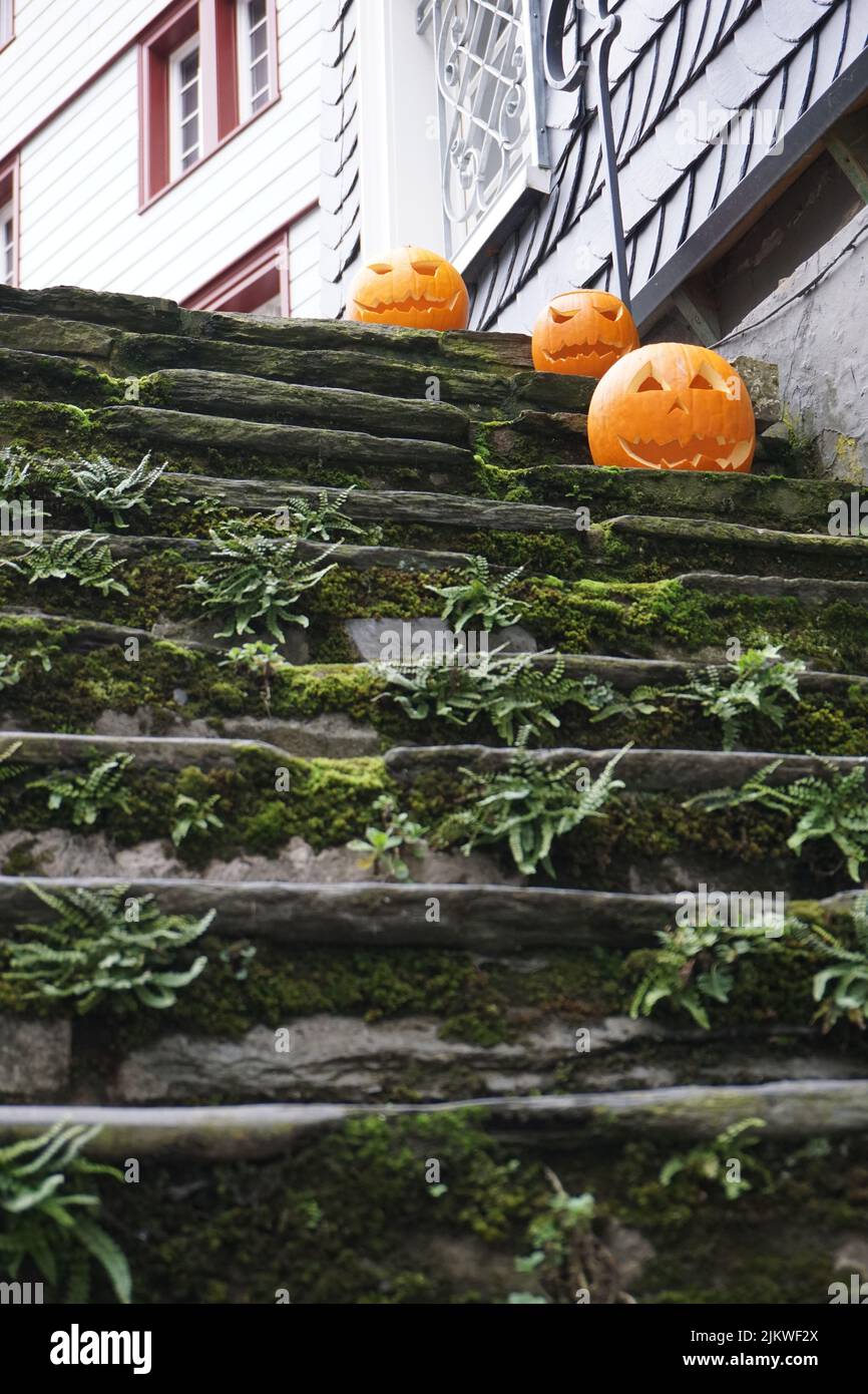 Die Halloween Kürbisse auf der moosigen Treppe eines Hauses in Monschau, Nordrhein-Westfalen, Deutschland Stockfoto