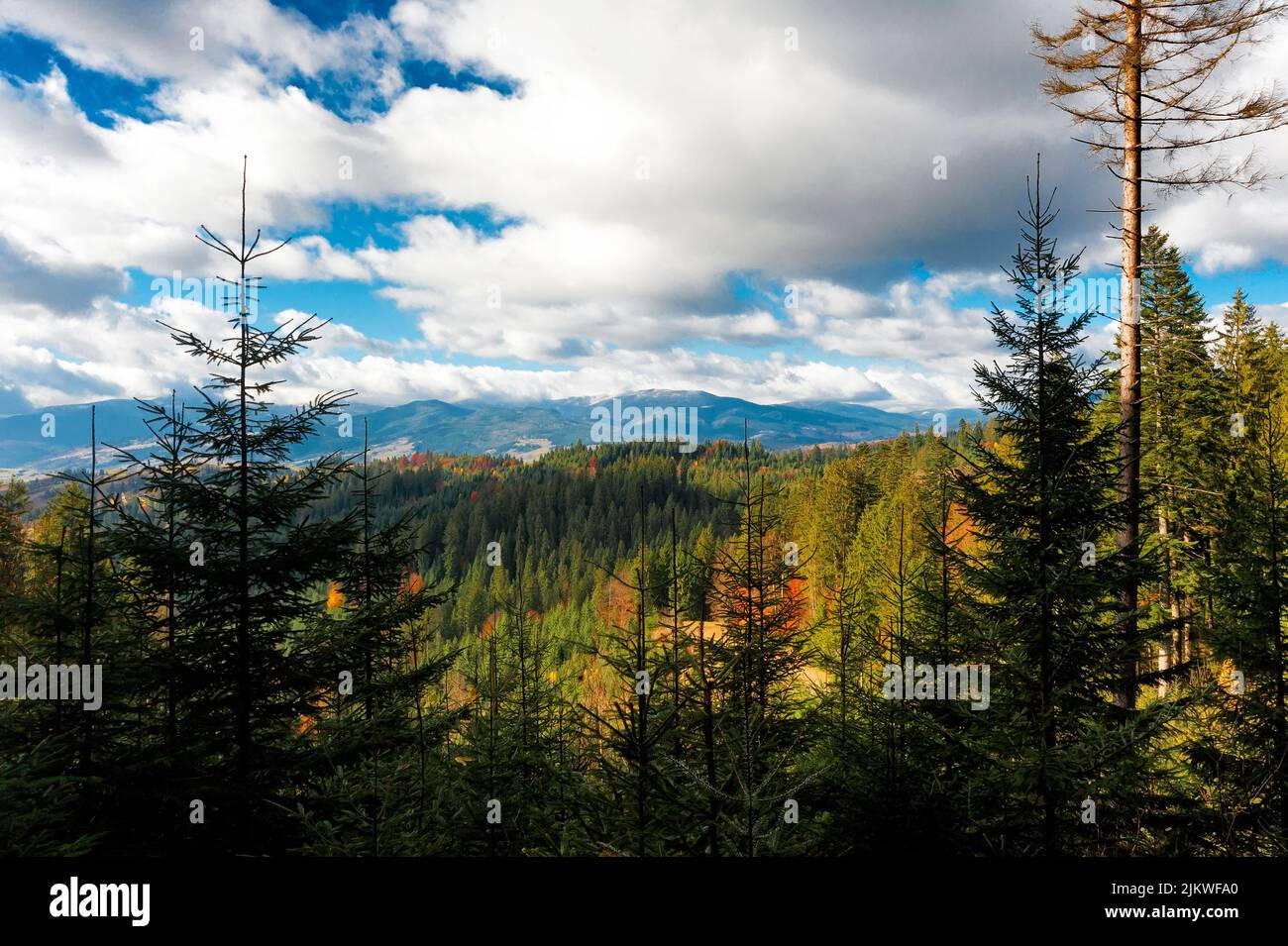 Herbst Berglandschaft des Yablunytsia Pass in Prykarpattia Ukraine Stockfoto
