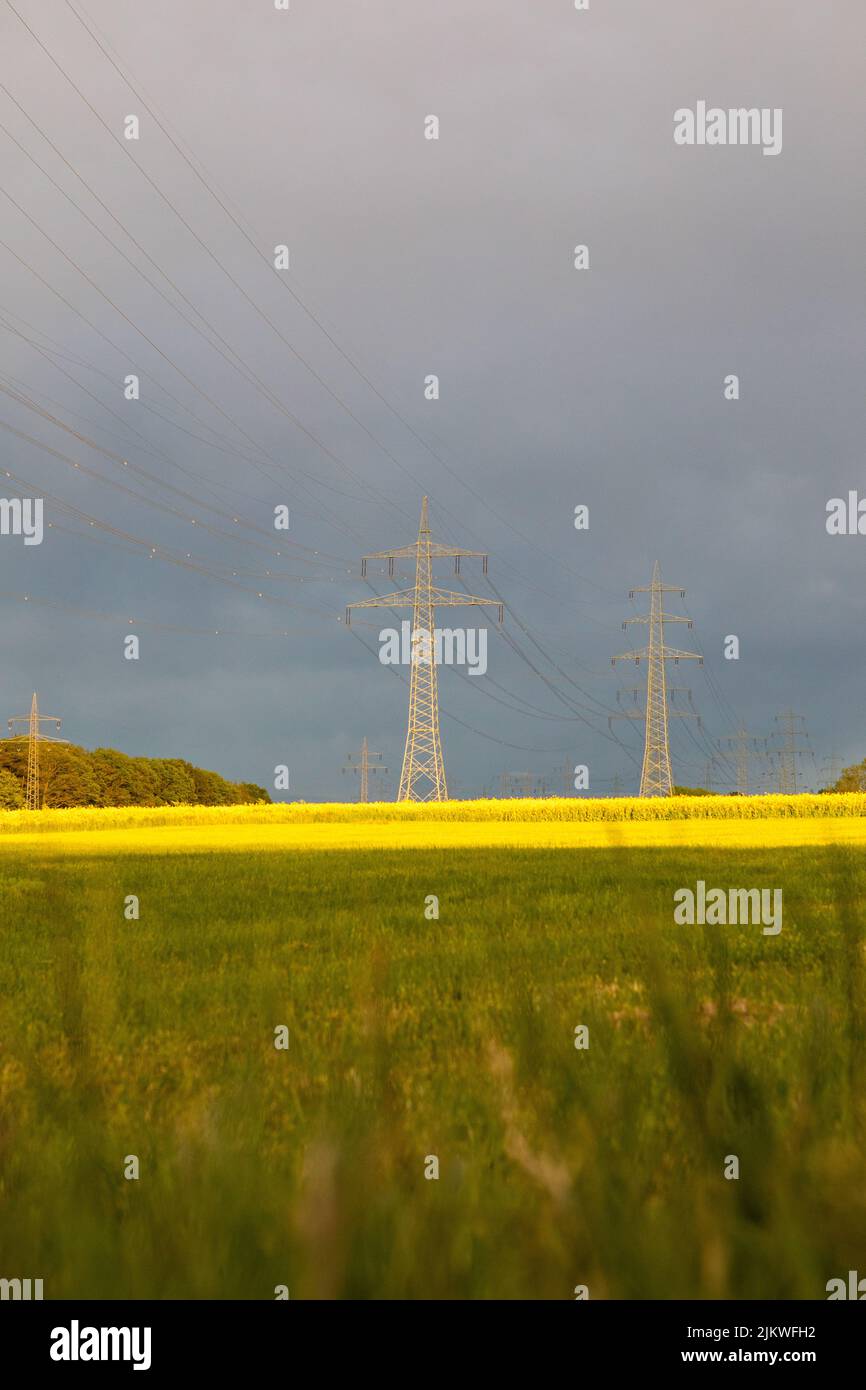 Zwei Masten in einem ländlichen Feld unter einem wolkigen Himmel Stockfoto