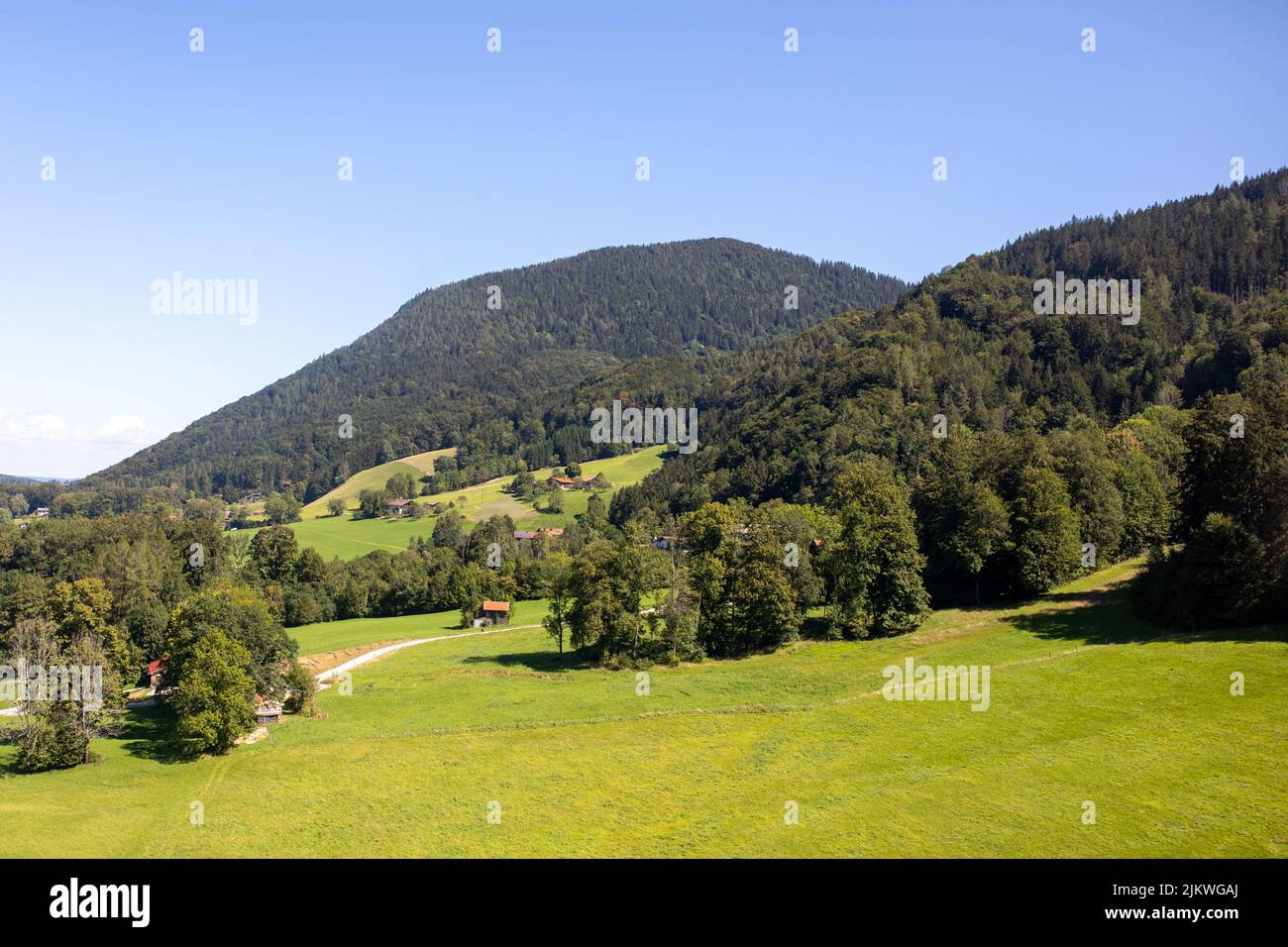 Eine wunderschöne Landschaft aus Bäumen, die auf einem Feld wachsen. Stockfoto