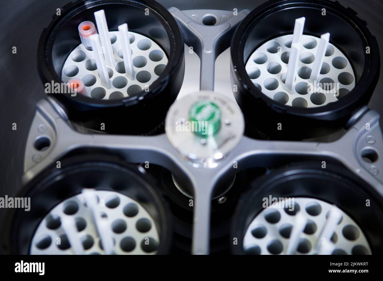Labor für Krankenhausbiologie: Zentrifugation von Blutproben. Stockfoto