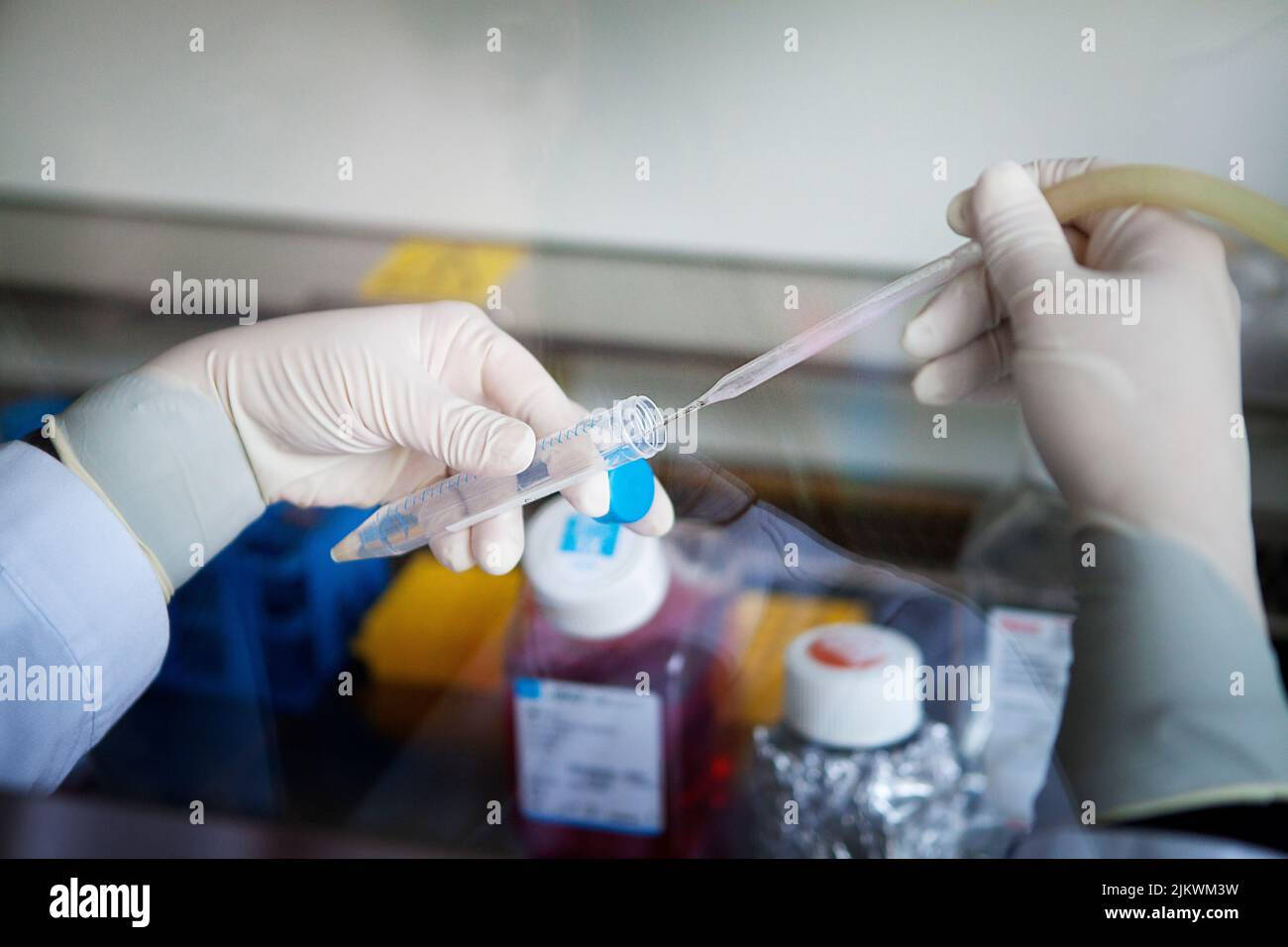 Bioprinting, eine künstliche Produktion von biologischen Geweben, die regenerative Medizin ermöglicht. Stockfoto