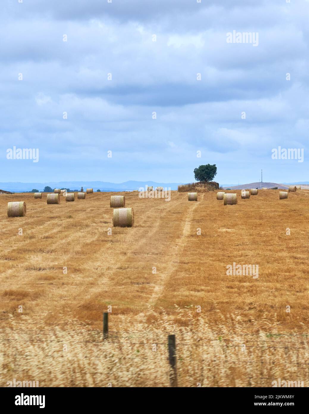 Eine schöne Aufnahme von Stroh rollt auf dem Feld während der landwirtschaftlichen Ernte von Weizen an einem sonnigen Tag unter einem wolkigen blauen Himmel Stockfoto