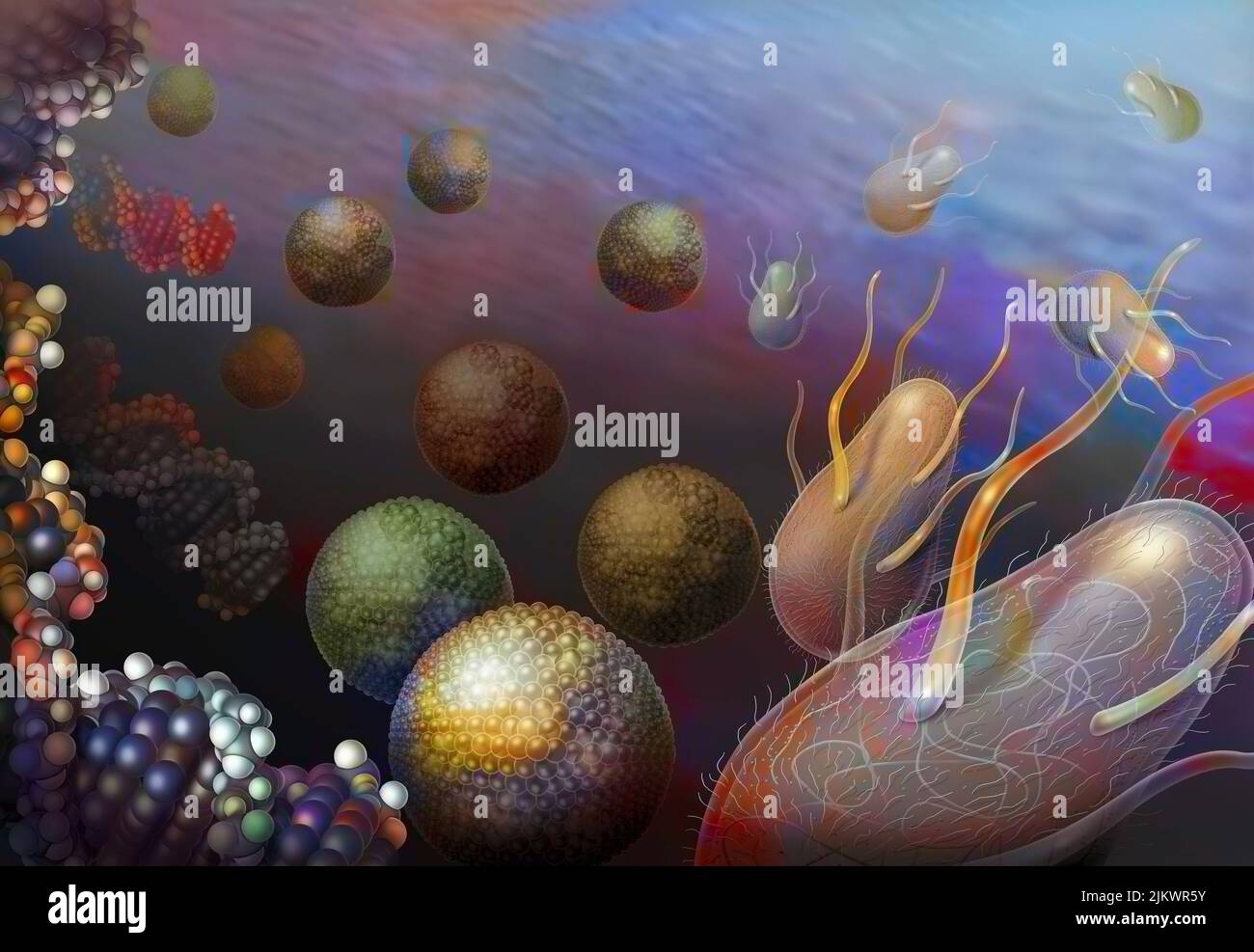 Prokaryoten wären dank zweier Elemente entstanden: Einer Hülle aus Molekülen und RNA. Stockfoto