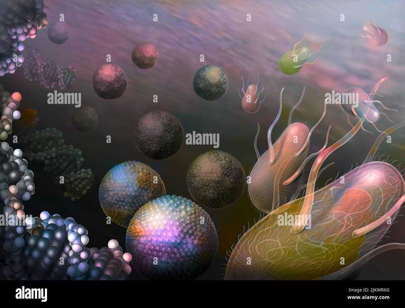 Prokaryoten wären dank zweier Elemente entstanden: Einer Hülle aus Molekülen und RNA. Stockfoto