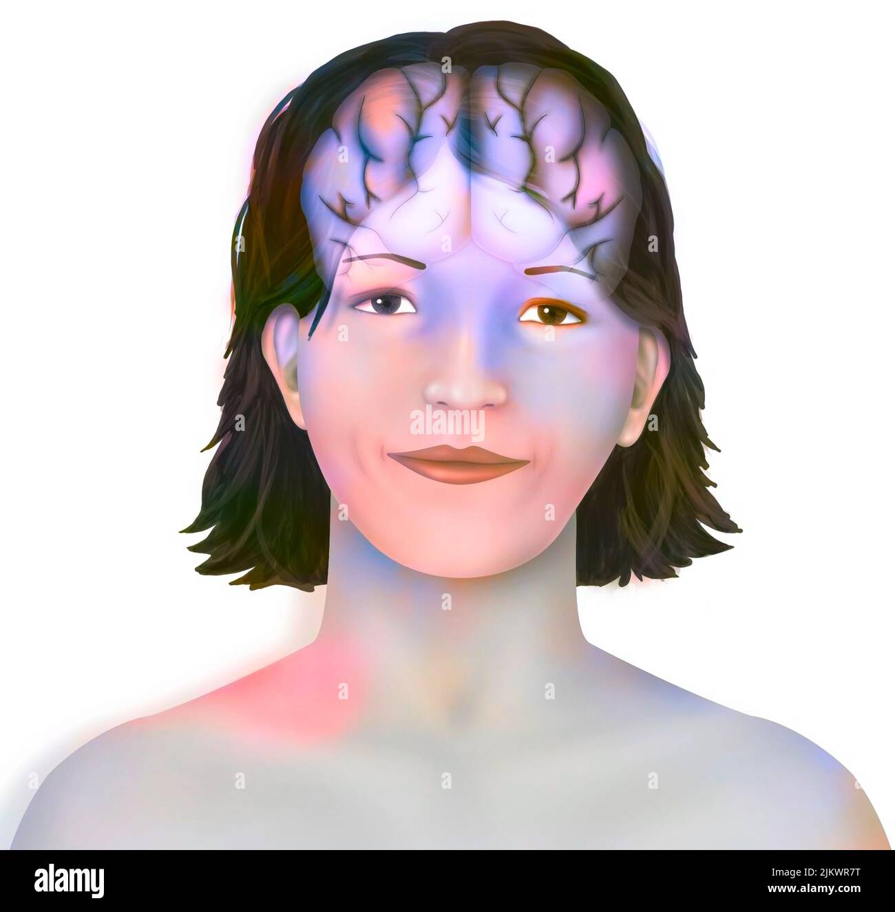 Gehirn (rechte und linke Gehirnhälften) im Gesicht einer Frau. Stockfoto