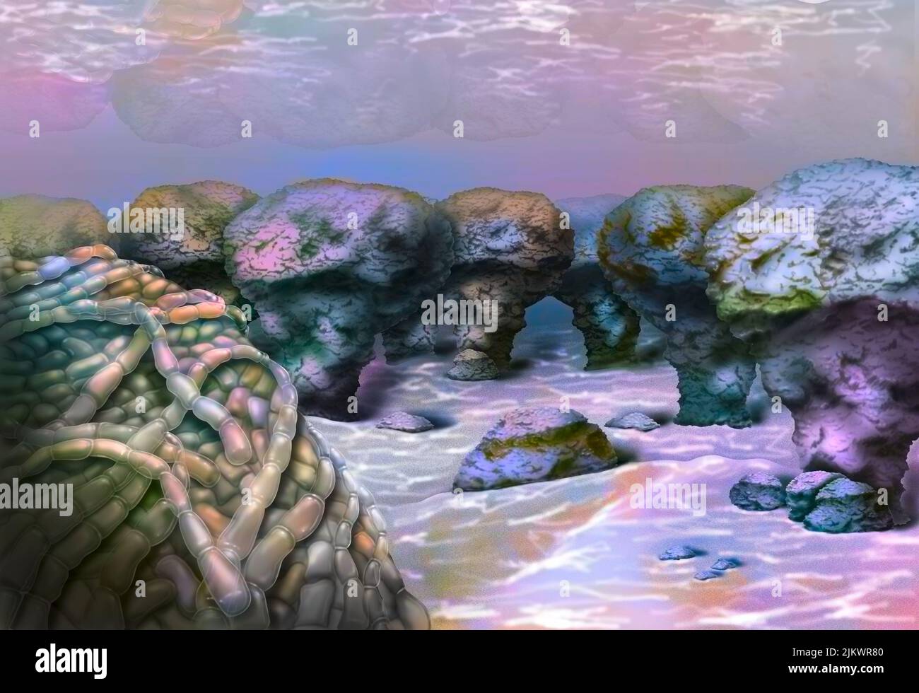 Cyanobakterien und Stromatolithe: Der Meeresboden ist mit Stromatolithen besiedelt. Stockfoto