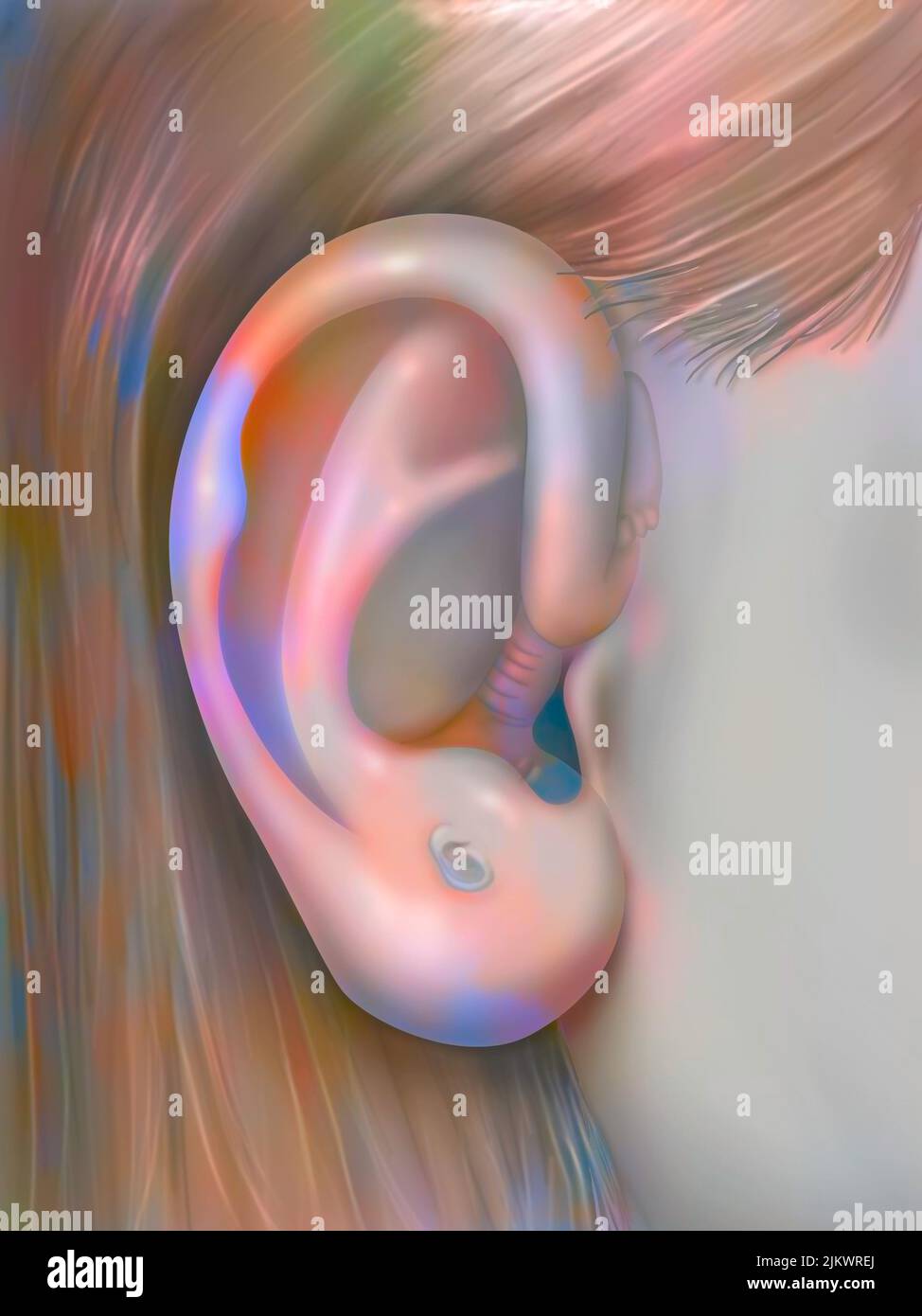 Aurikulotherapie: Ohr und Nachweis der Ähnlichkeit mit einem fetus. Stockfoto