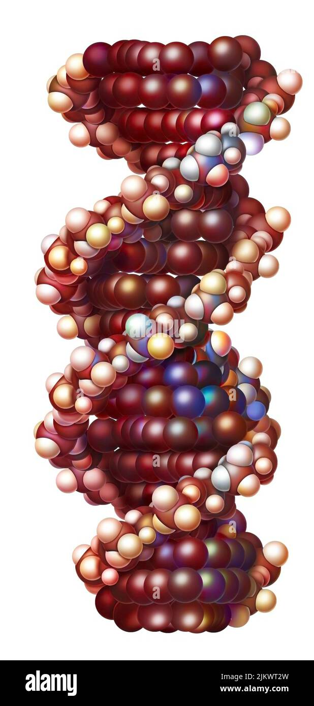 RNA (molekulare Organisation), bestehend aus Ribonukleotiden (Adenin, Cytosin, Guanin, Uracil). Stockfoto