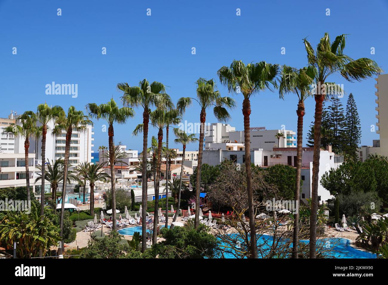 Das Bild zeigt einen Panoramablick über den Poolbereich von hipotles Said in Cala Millor Mallorca mit riesigen Palmen und Gebäuden im Hintergrund Stockfoto