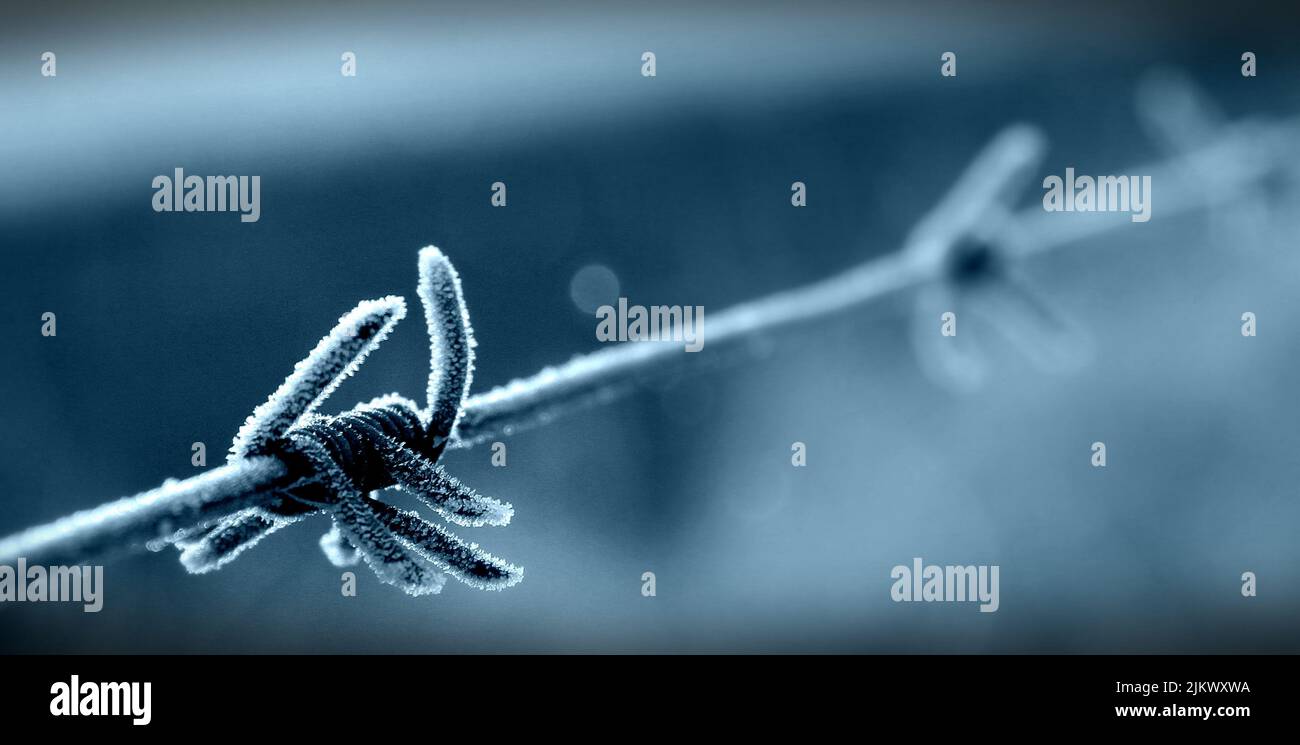 Eine selektive Fokusaufnahme eines frostbedeckten Stacheldrahtzauens mit blauem Bokeh an einem kühlen Wintertag Stockfoto