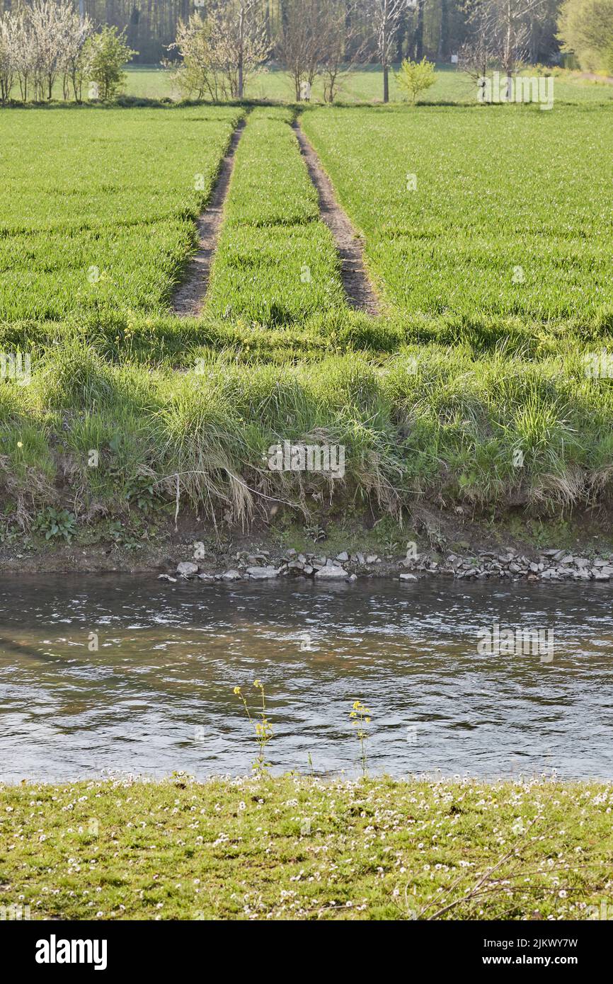 Eine vertikale Aufnahme eines Kanalwassers und grünen Grases mit Bäumen am Horizont an einem sonnigen Tag Stockfoto