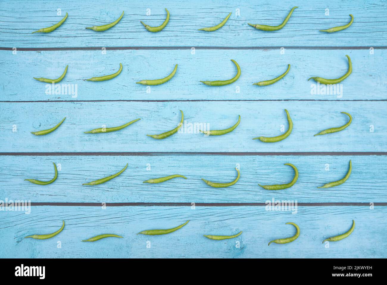 Ein Blick von oben auf grüne Paprika in Reihen auf einem rustikalen blauen Holzhintergrund Stockfoto