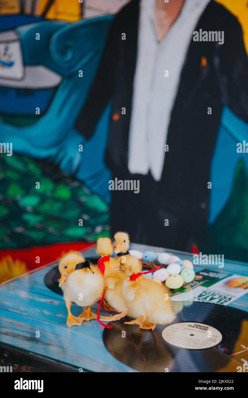 Eine vertikale Nahaufnahme von Küken auf Vinyl-Schallplatten, die zu Ostern mit bunten Eiern verziert sind Stockfoto