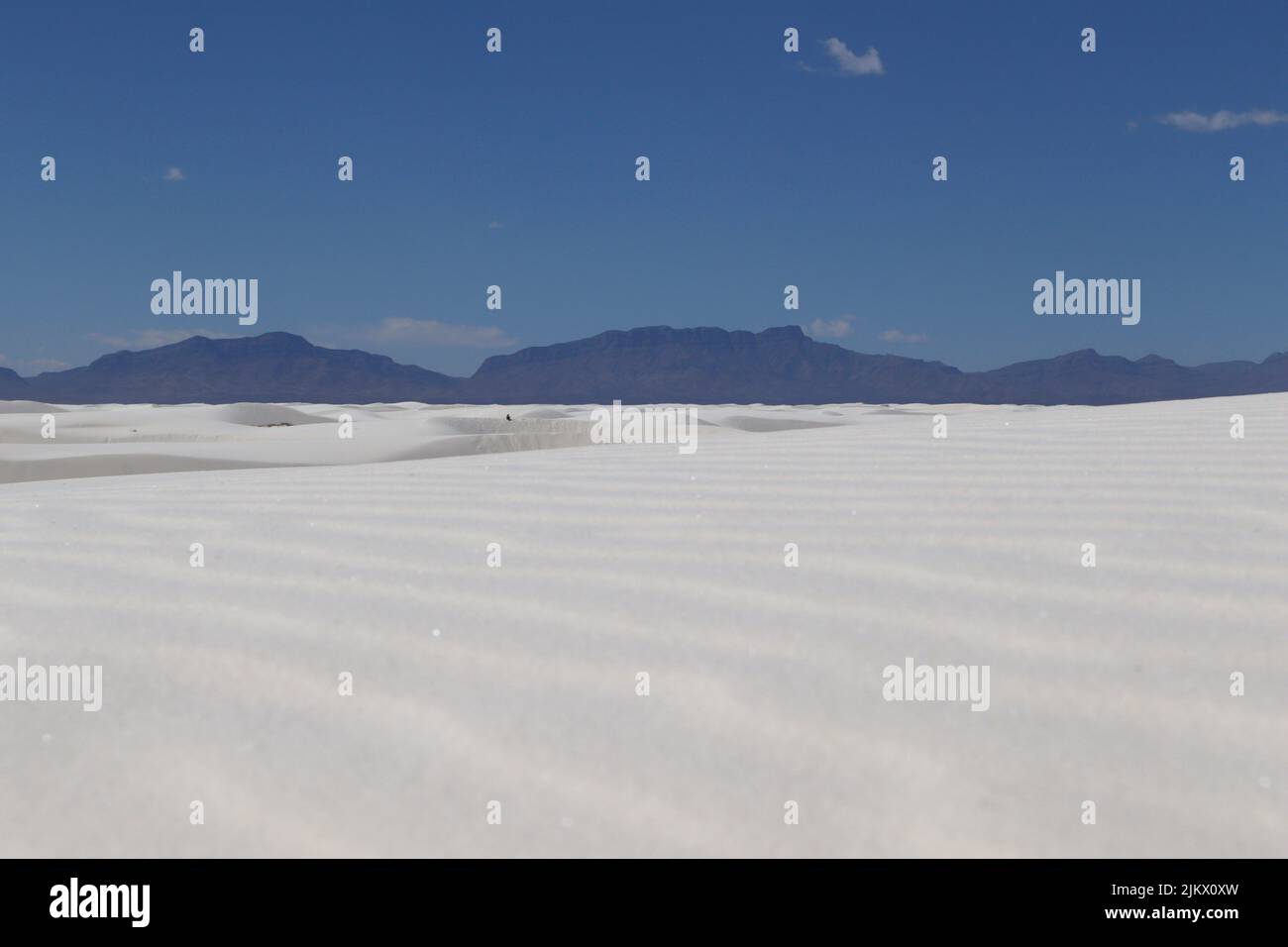 Ein kühlender Blick auf ein schneebedecktes Feld unter klarem Himmel Stockfoto