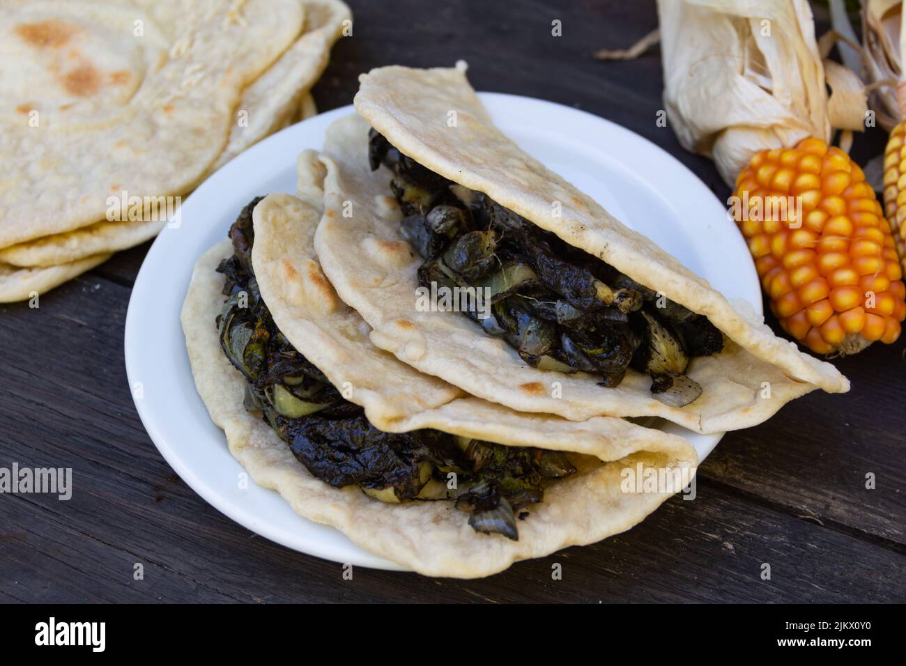 Teller mit mexikanischen Tacos gefüllt mit Huitlacoche auf rustikalem Holz Stockfoto