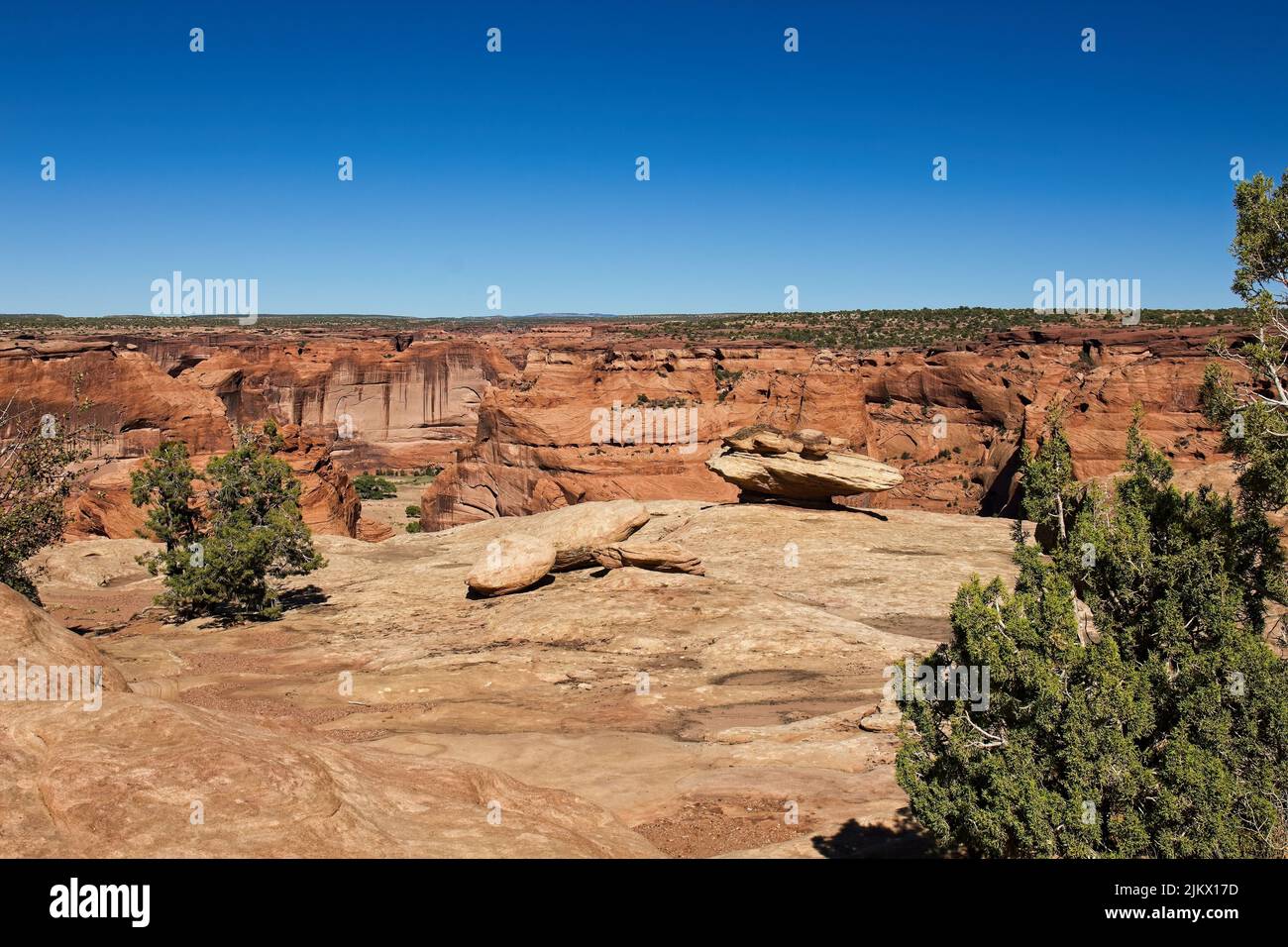 Mehrere Felsen und Wacholderbäume auf einer flachen Felsenfläche am Canyon de Chelle, Arizona Stockfoto