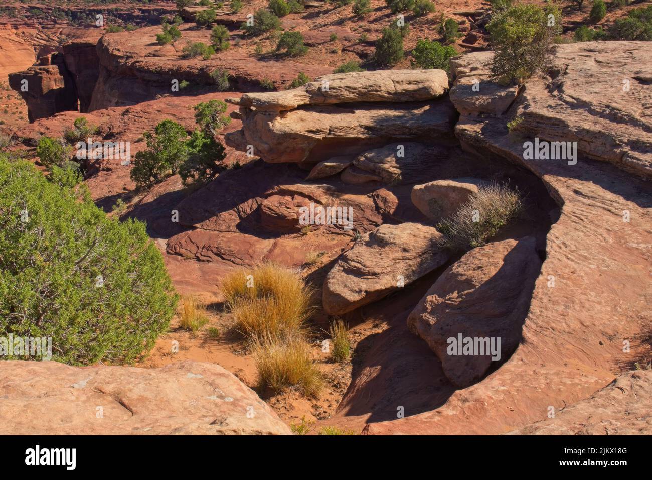 Erodiertes Gestein, das eine Schale im Canyon de Chelle, Arizona, bildet Stockfoto