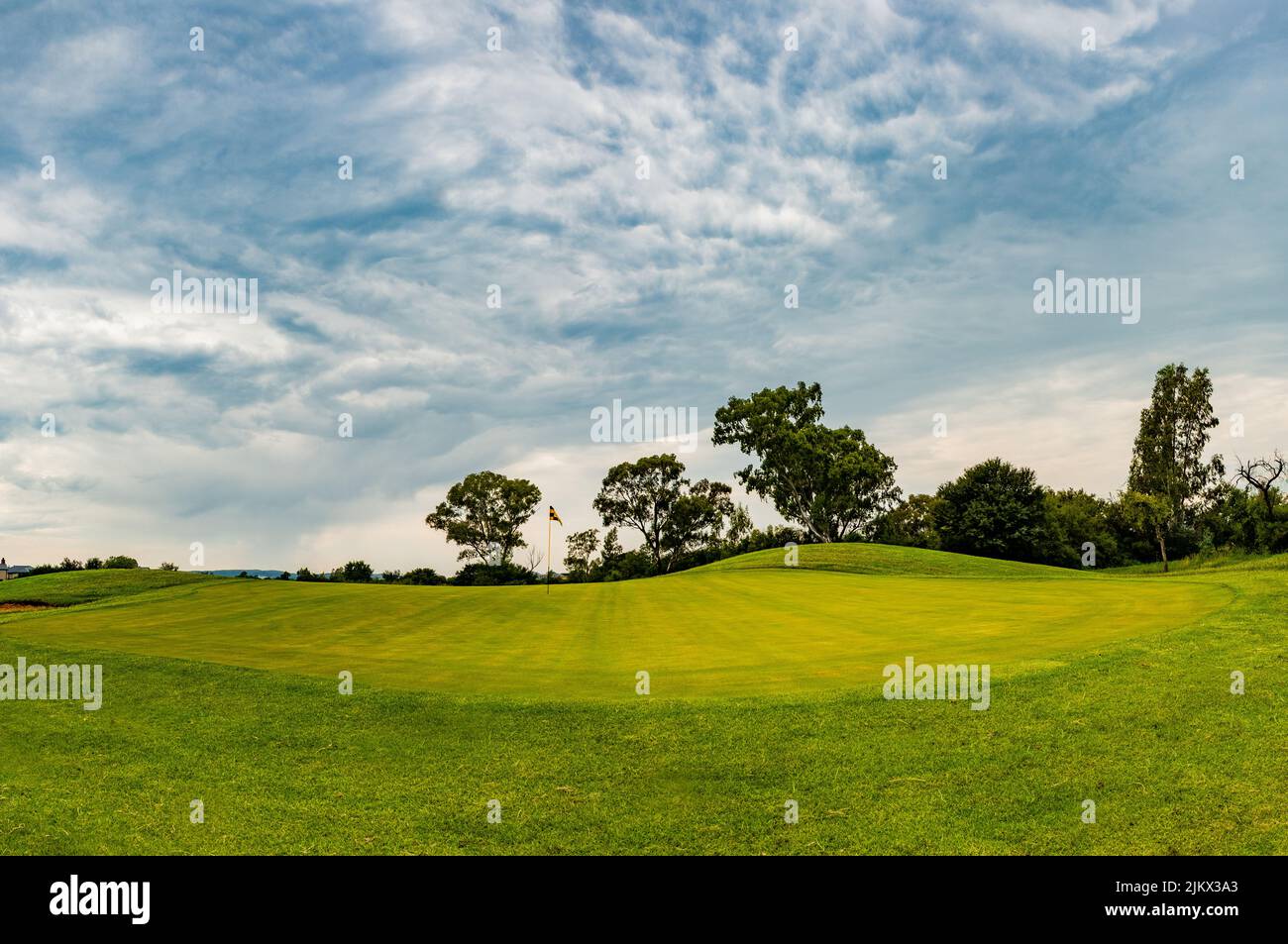 Eine natürliche Landschaft von einem schönen weiten grünen Ackerland, umgeben von Bäumen unter dem blau bewölkten Himmel Stockfoto