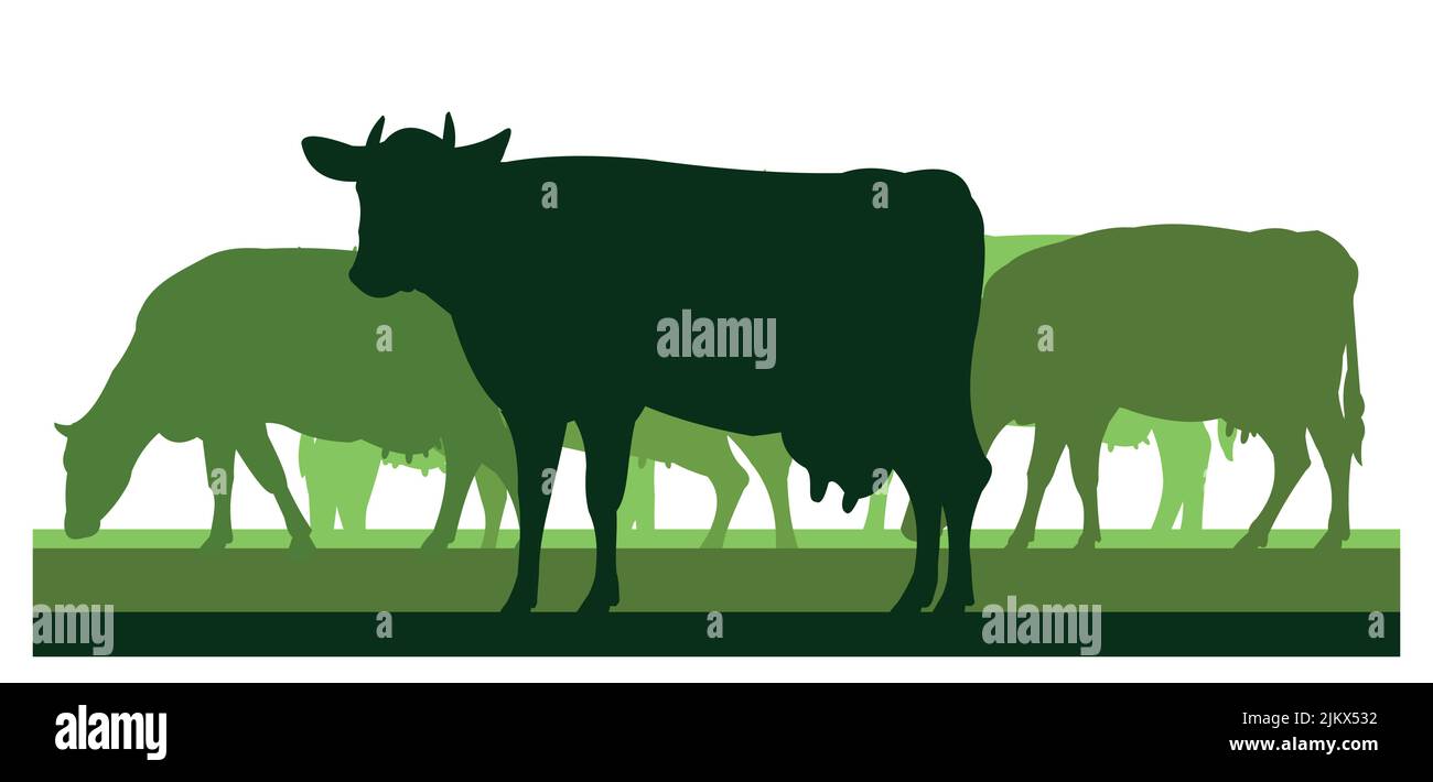 Kühe grasen. Bildsilhouette. Haustiere auf dem Bauernhof. Tiere für Milch und Milchprodukte. Isoliert auf weißem Hintergrund. Vektor Stock Vektor