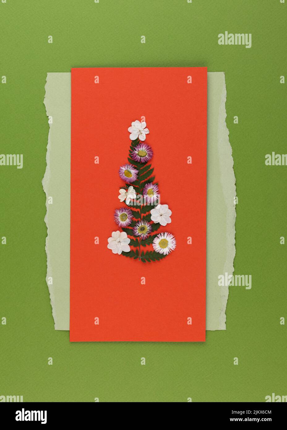 Minimalistische Komposition Blumenmuster aus lila Milchdistel Blüten Spitzen auf grauem Hintergrund. Flach liegend Stockfoto